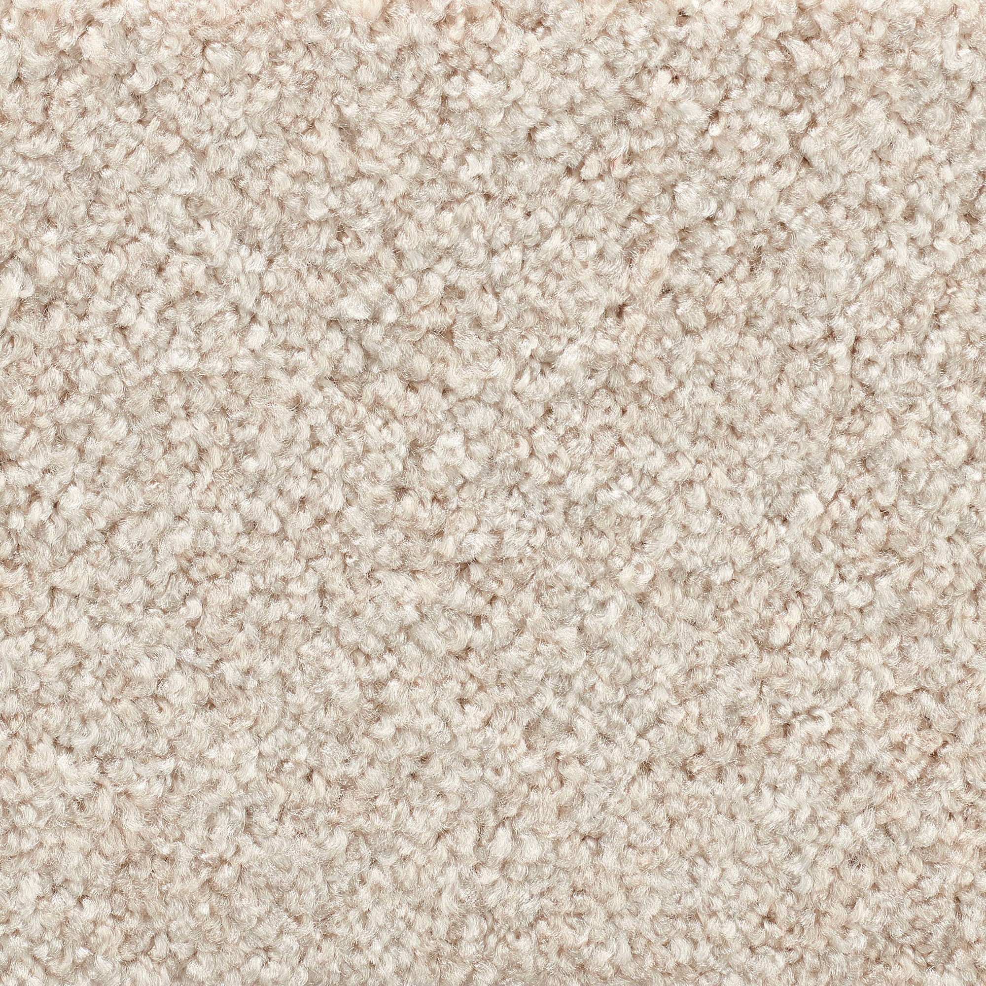 Vorwerk Teppichboden »Passion 1055, Velours - Uni Farben, Made in Germany«, günstig online kaufen