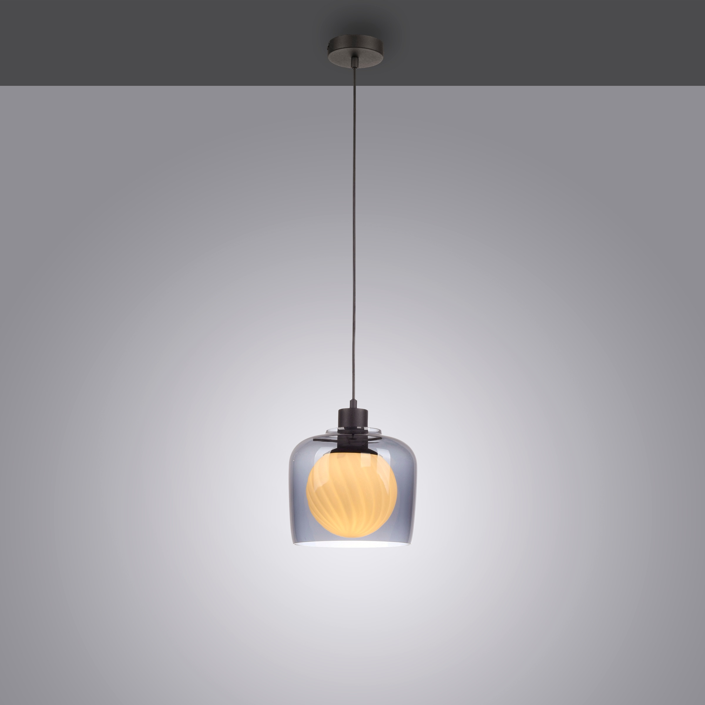 Paul Neuhaus Pendelleuchte »CALOPUS« E27 1 Stk. ExklusiveE27 ,