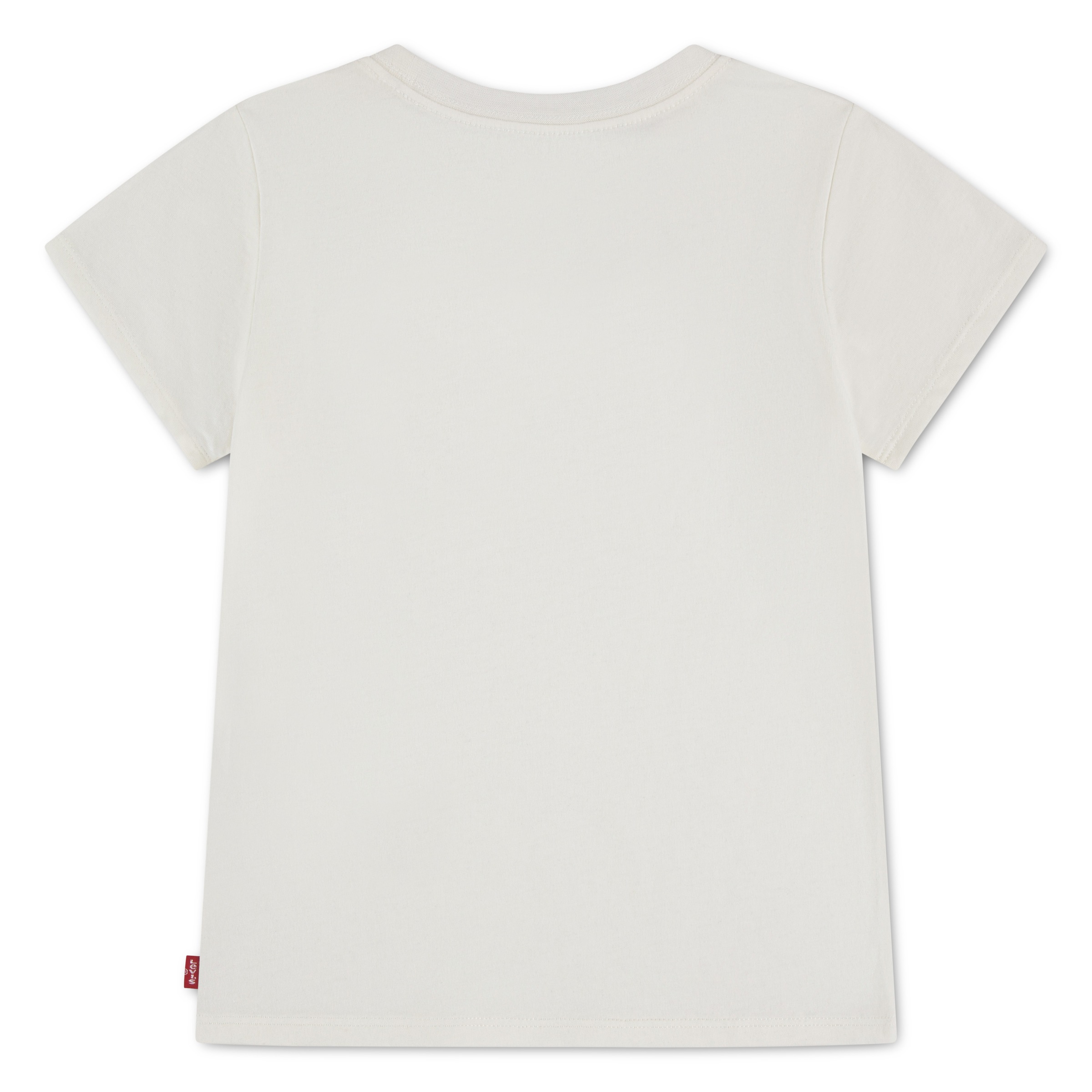 Levi's® Kids T-Shirt »LVG BATWING SEASONAL FILL TEE« mit Batwing-Print