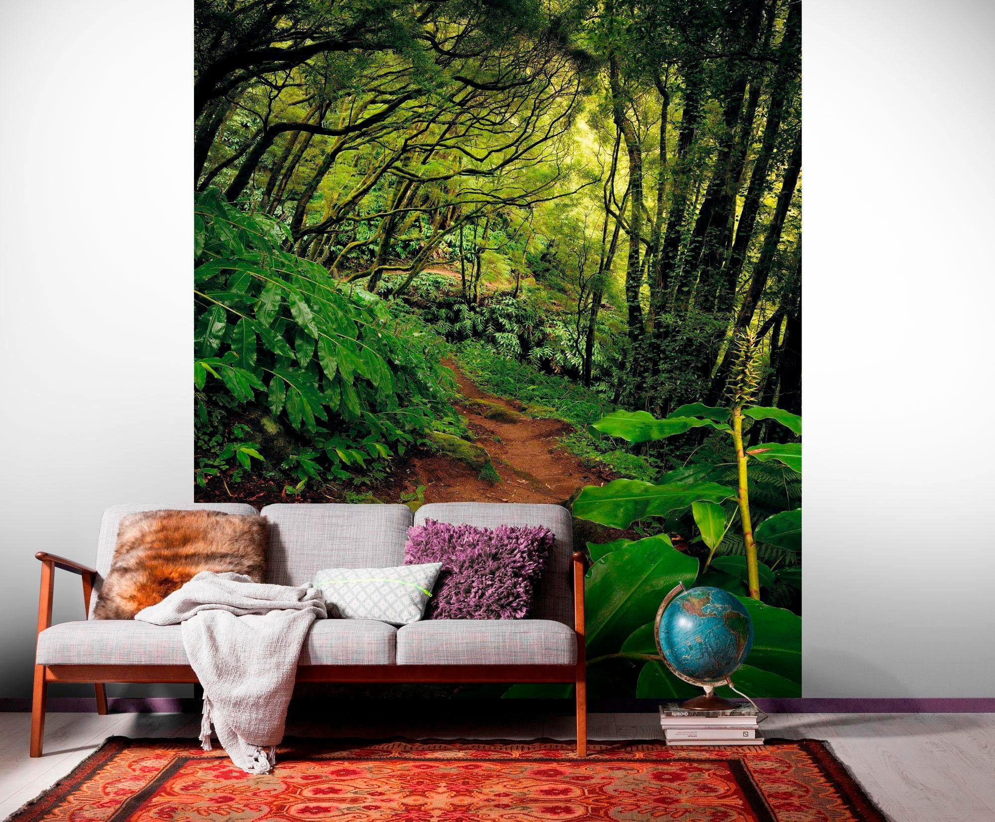 Komar Vliestapete »The Path«, 200x250 cm (Breite x Höhe), Vliestapete, 100 günstig online kaufen