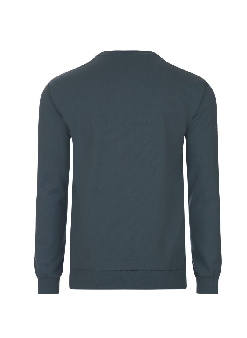 Trigema Sweatshirt »TRIGEMA Sweatshirt« kaufen