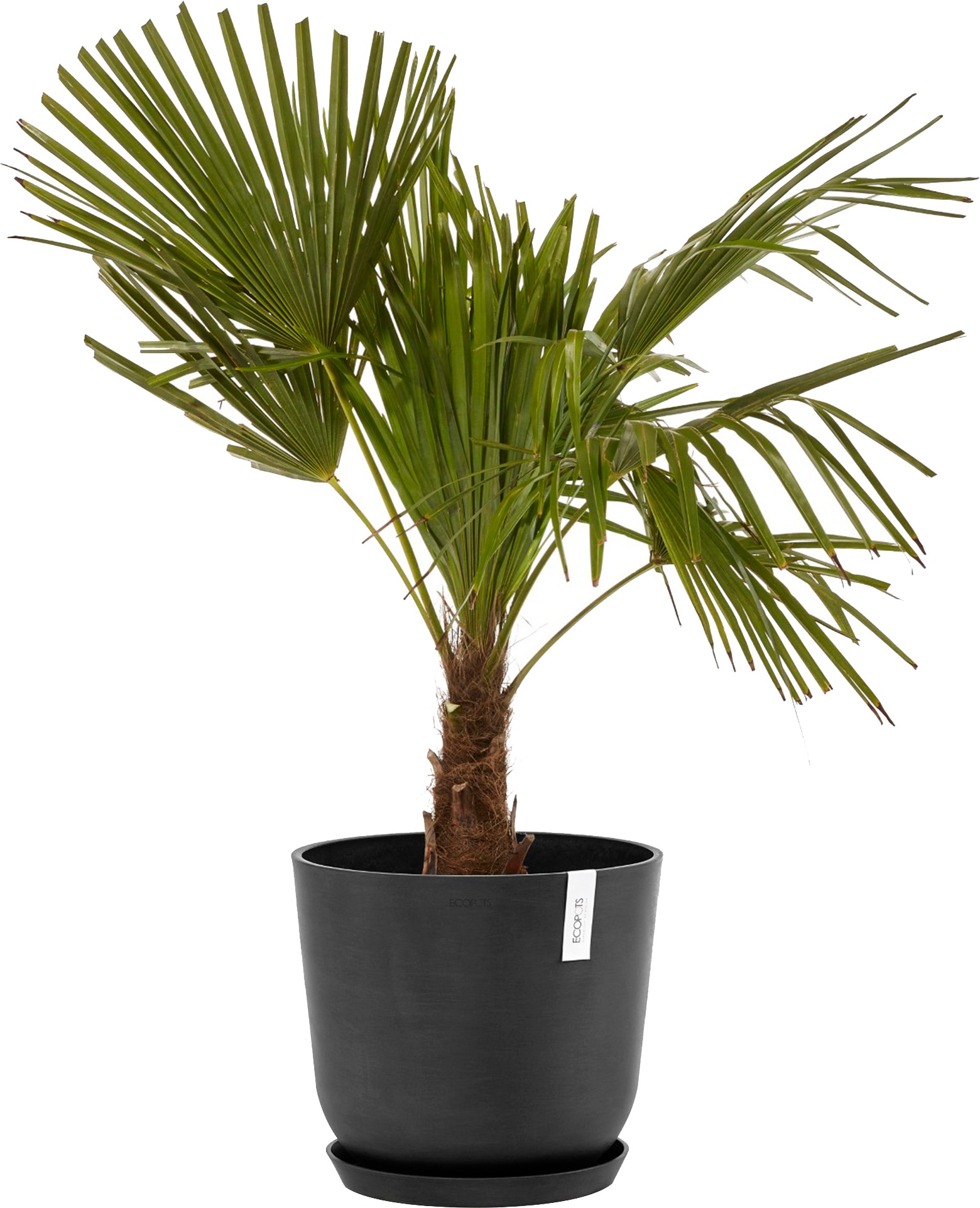 ECOPOTS Blumentopf »Oslo 35 Dunkelgrau«, für innen und außen: frostsicher, bruchsicher und lichtbeständig