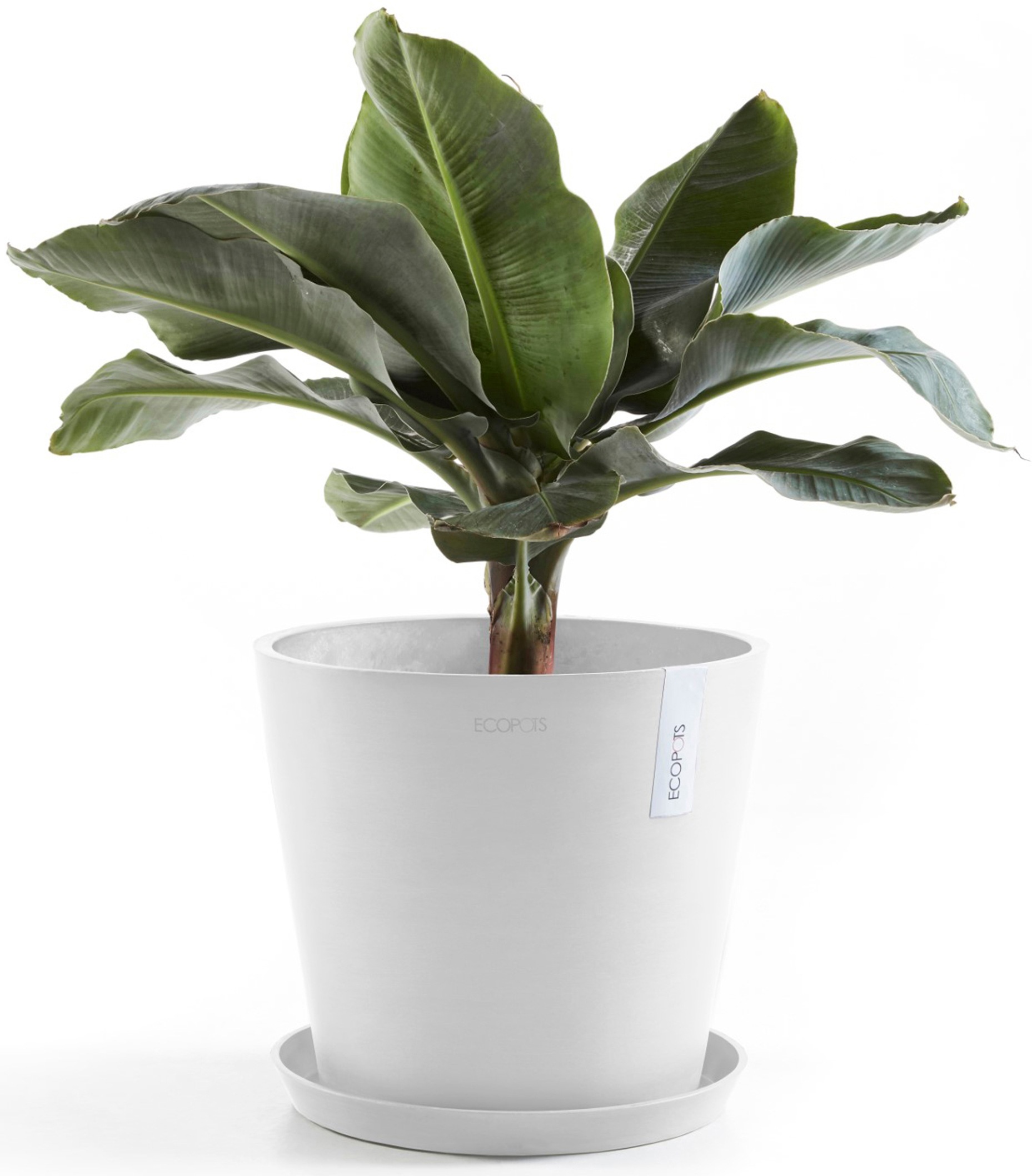 ECOPOTS Blumentopf »Amsterdam 30 + Wassersystem Weißgrau«, für innen und außen: frostsicher, bruchsicher und lichtbeständig