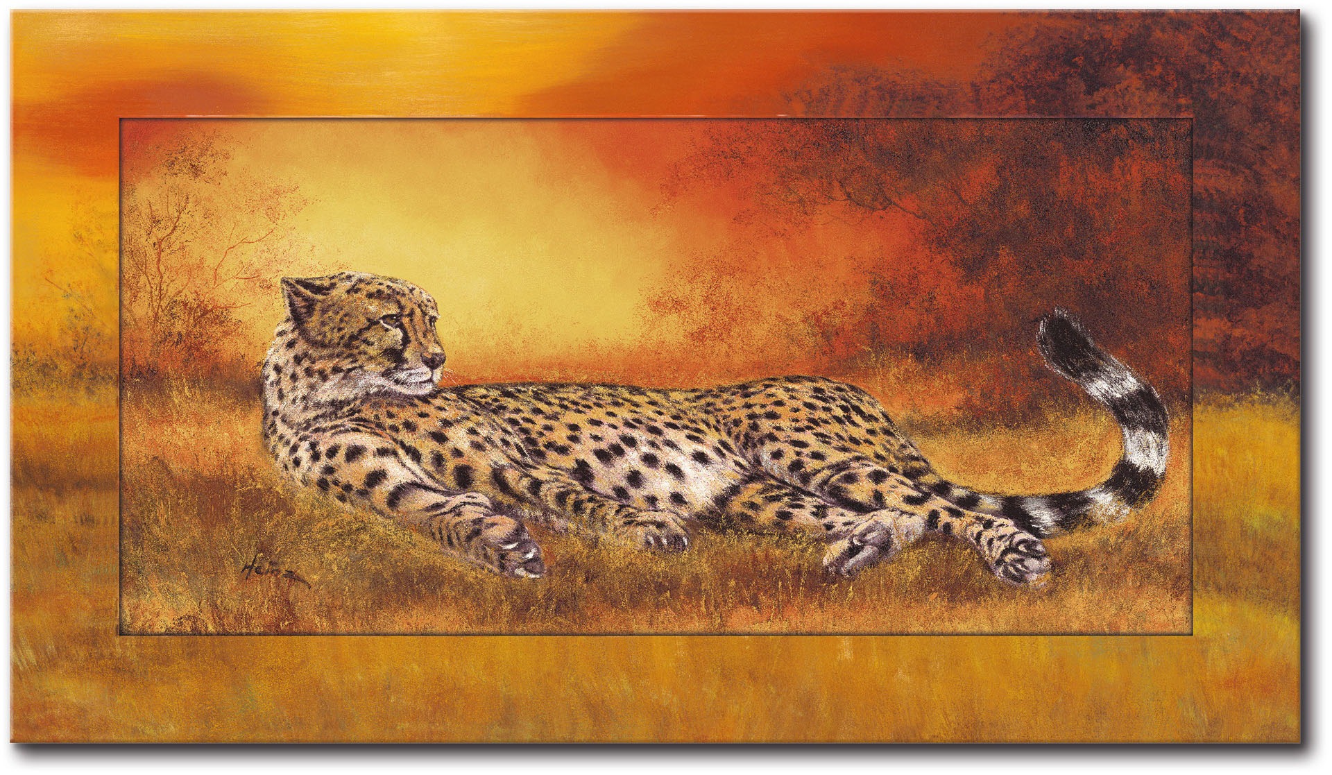 Wildtiere, Artland Wandbild Raten St.) bestellen »Gepard«, (1 auf