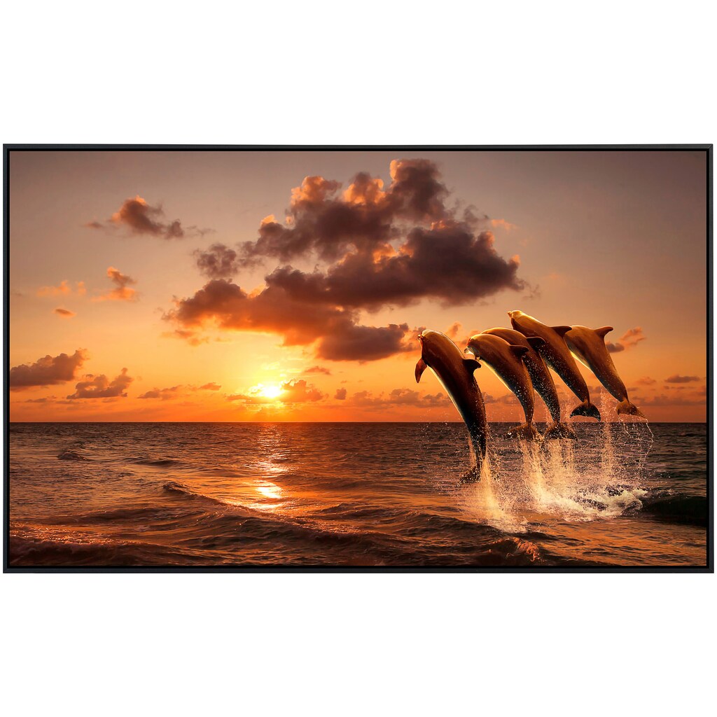 Papermoon Infrarotheizung »Sonnenuntergang springende Delfine«