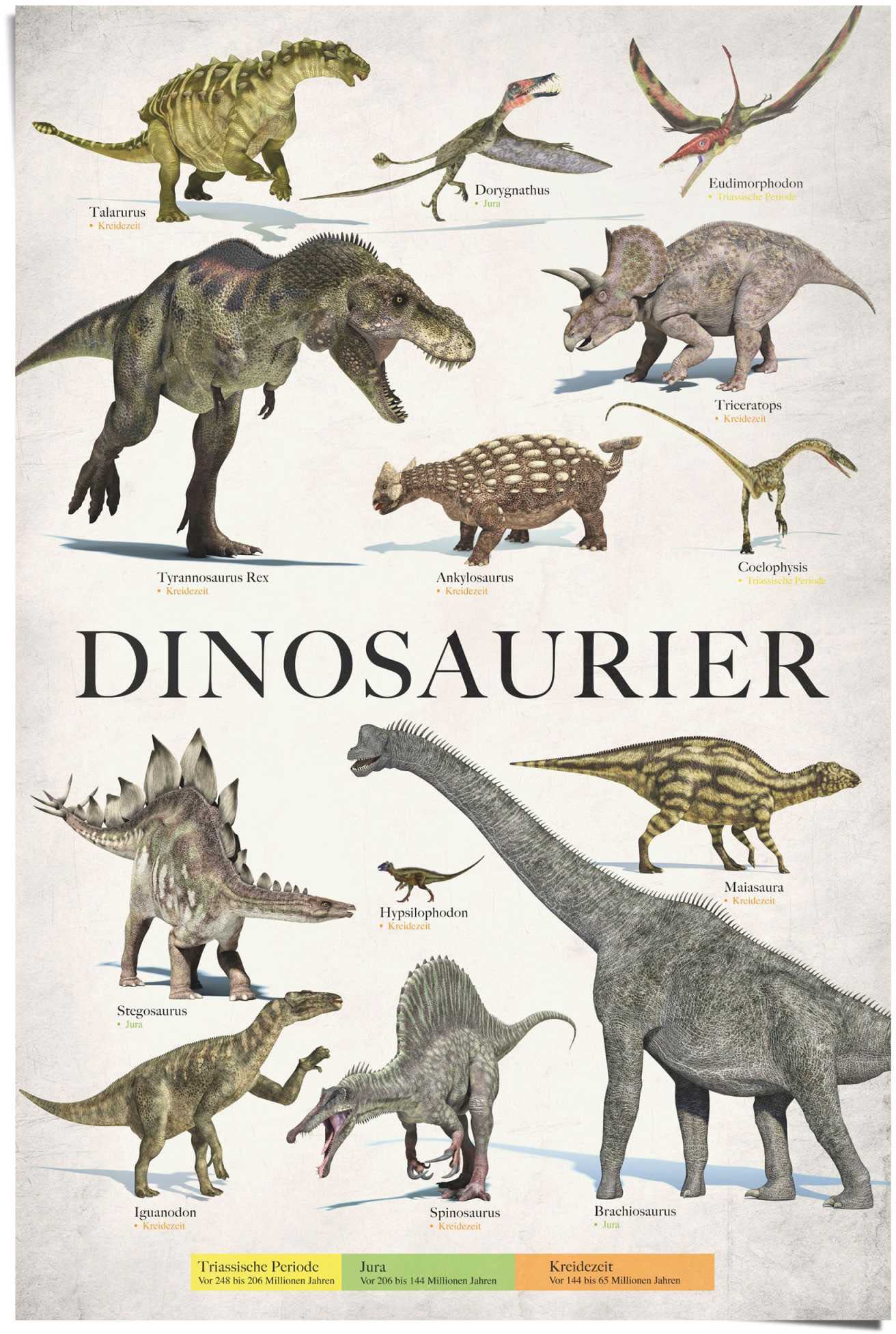 Dinosaurier auf Raten bestellen | Poster