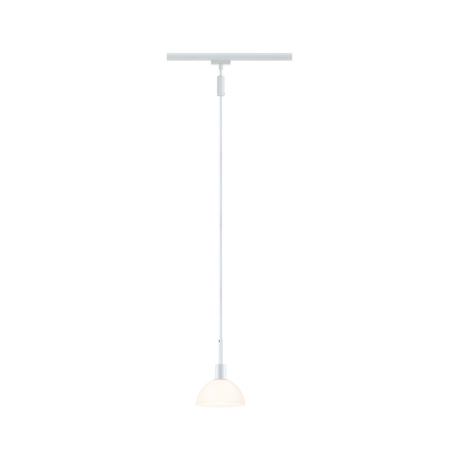 Paulmann Schienensystem-Leuchten »URail Pendel Sarrasani E14 max. 20W 230V« günstig online kaufen