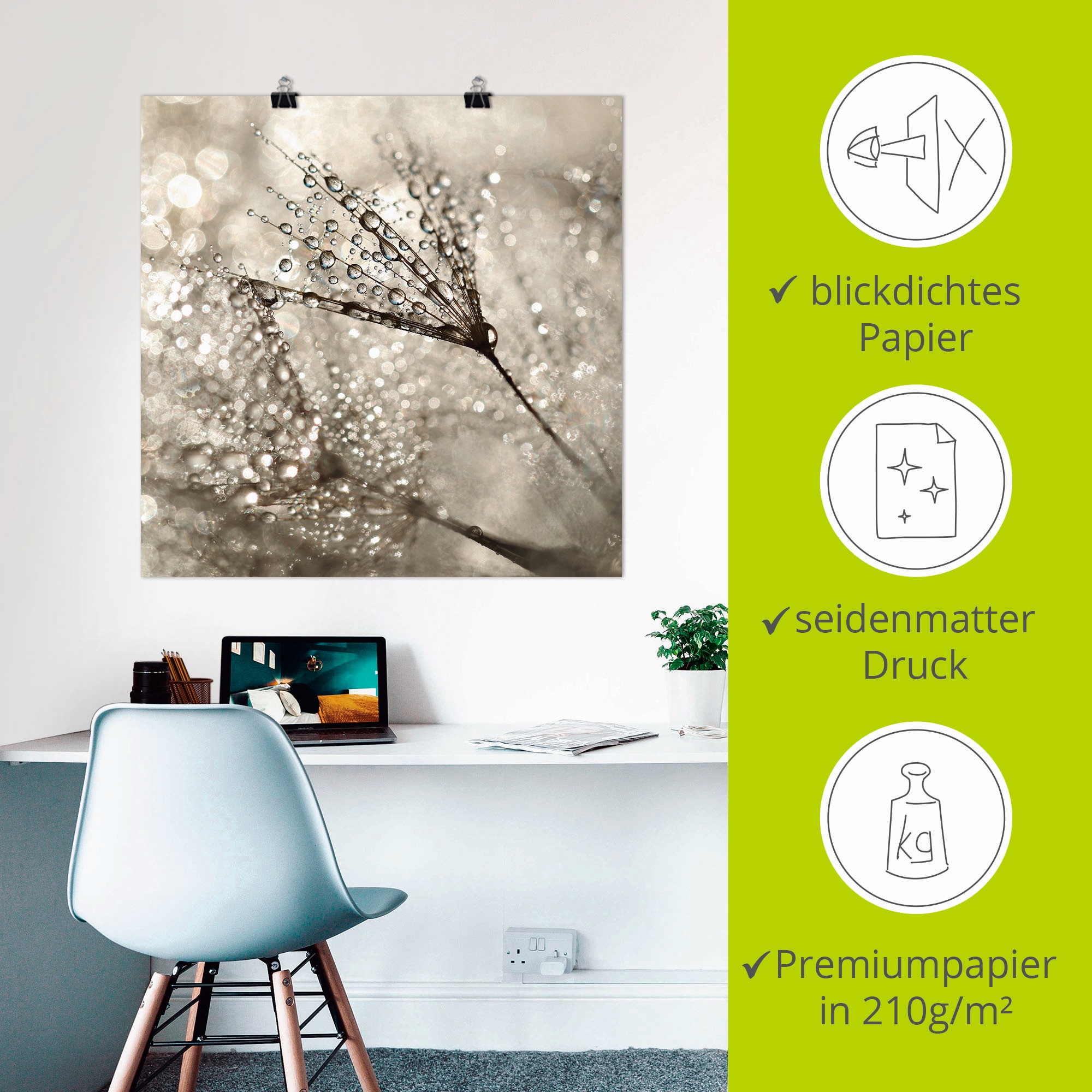 Artland Wandbild »Pusteblume Tautropfen«, Blumen, (1 St.), als Alubild, Outdoorbild, Leinwandbild, Poster, Wandaufkleber