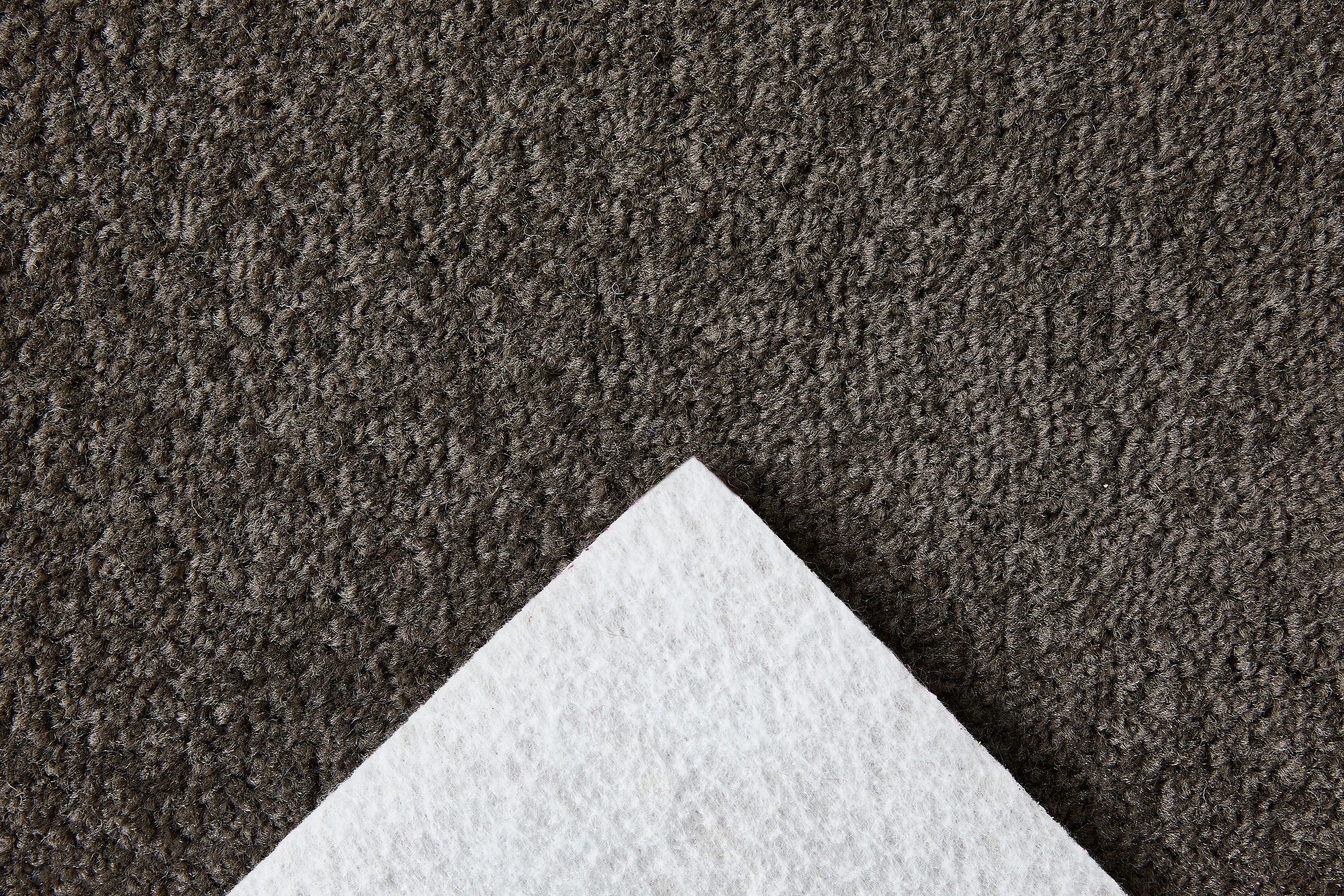 my home Teppichboden »Isabella, Velours, Made in Netherlands«, rechteckig, günstig online kaufen