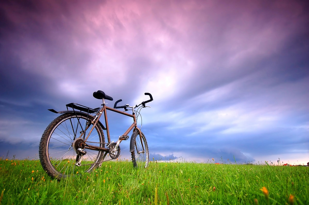 Papermoon Fototapete »Fahrrad in Grünland« günstig online kaufen