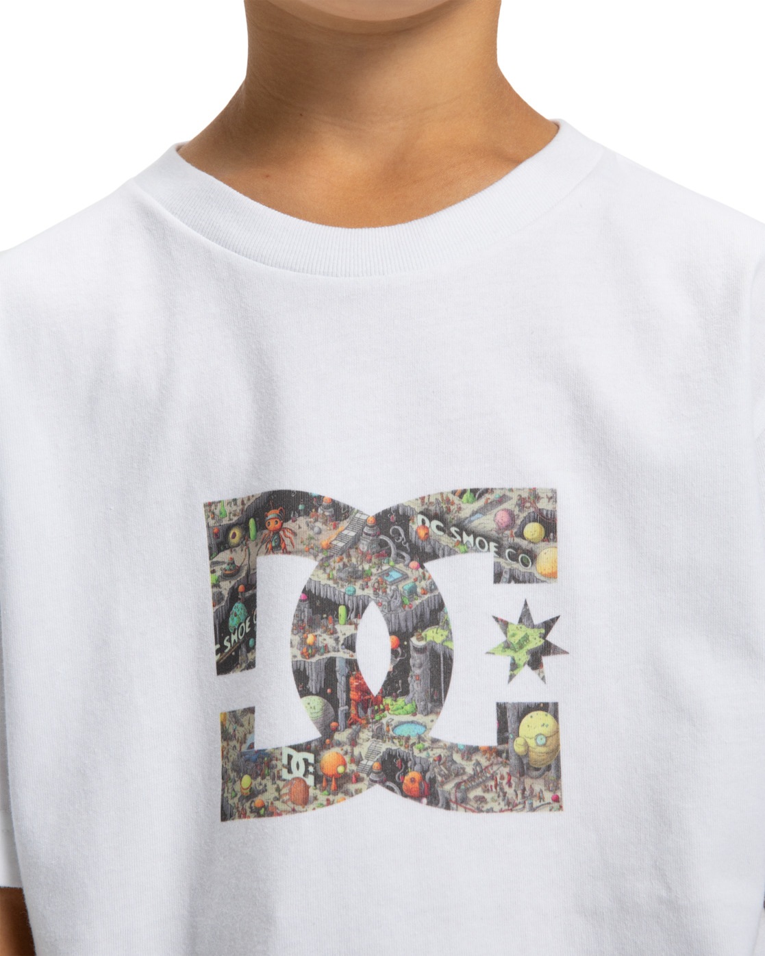 DC Shoes T-Shirt »DC Star Filled«