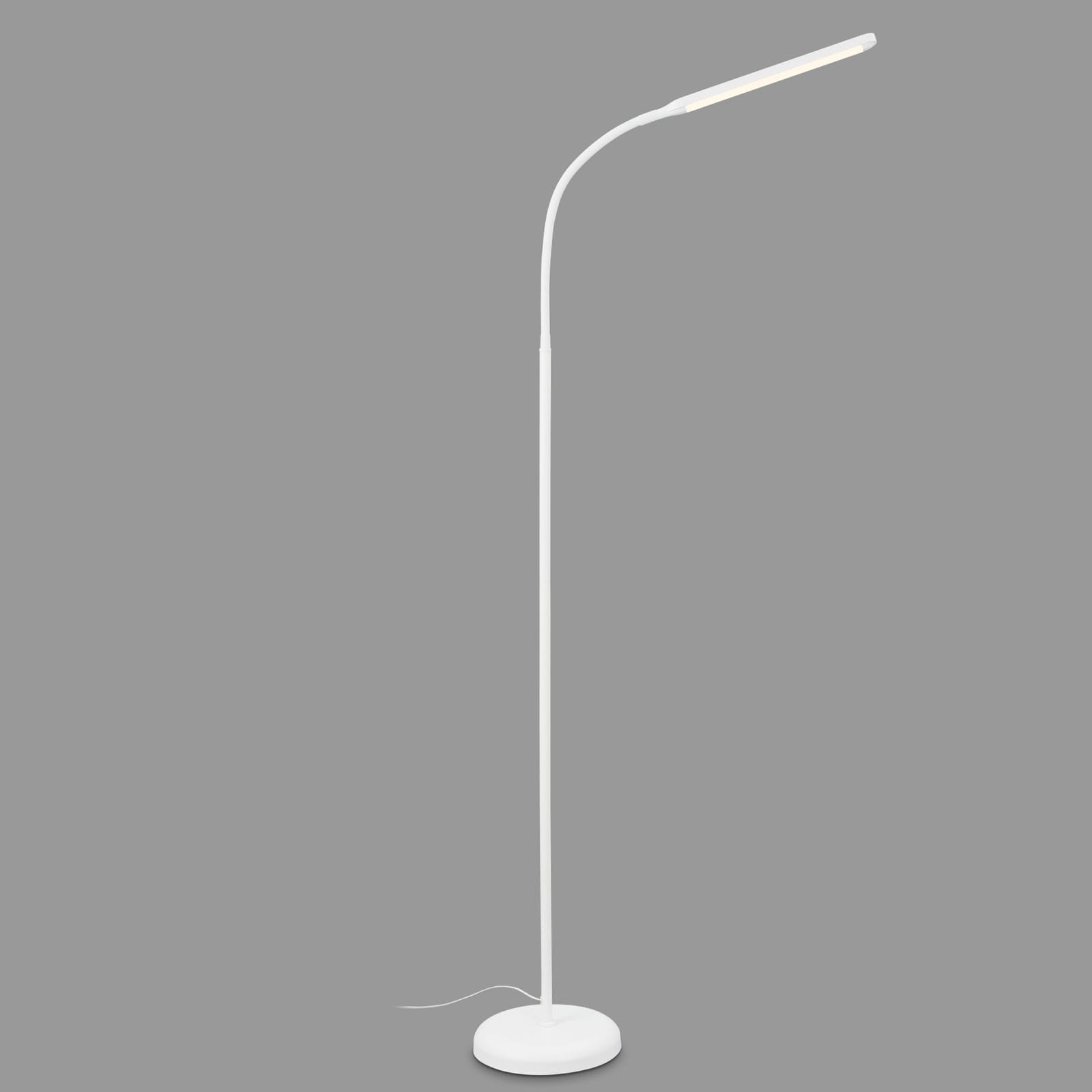 Briloner Leuchten Stehlampe »Stehleuchte PIVAZ«