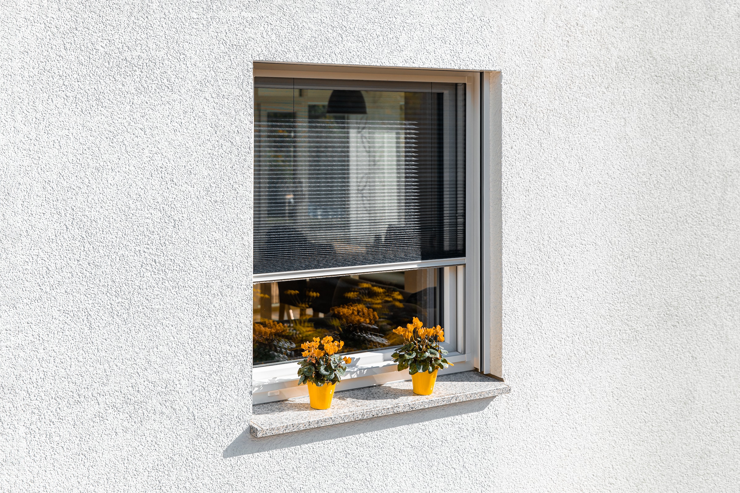 SCHELLENBERG Insektenschutzrollo »für Fenster in weiß«, Insektenschutz, Ins günstig online kaufen