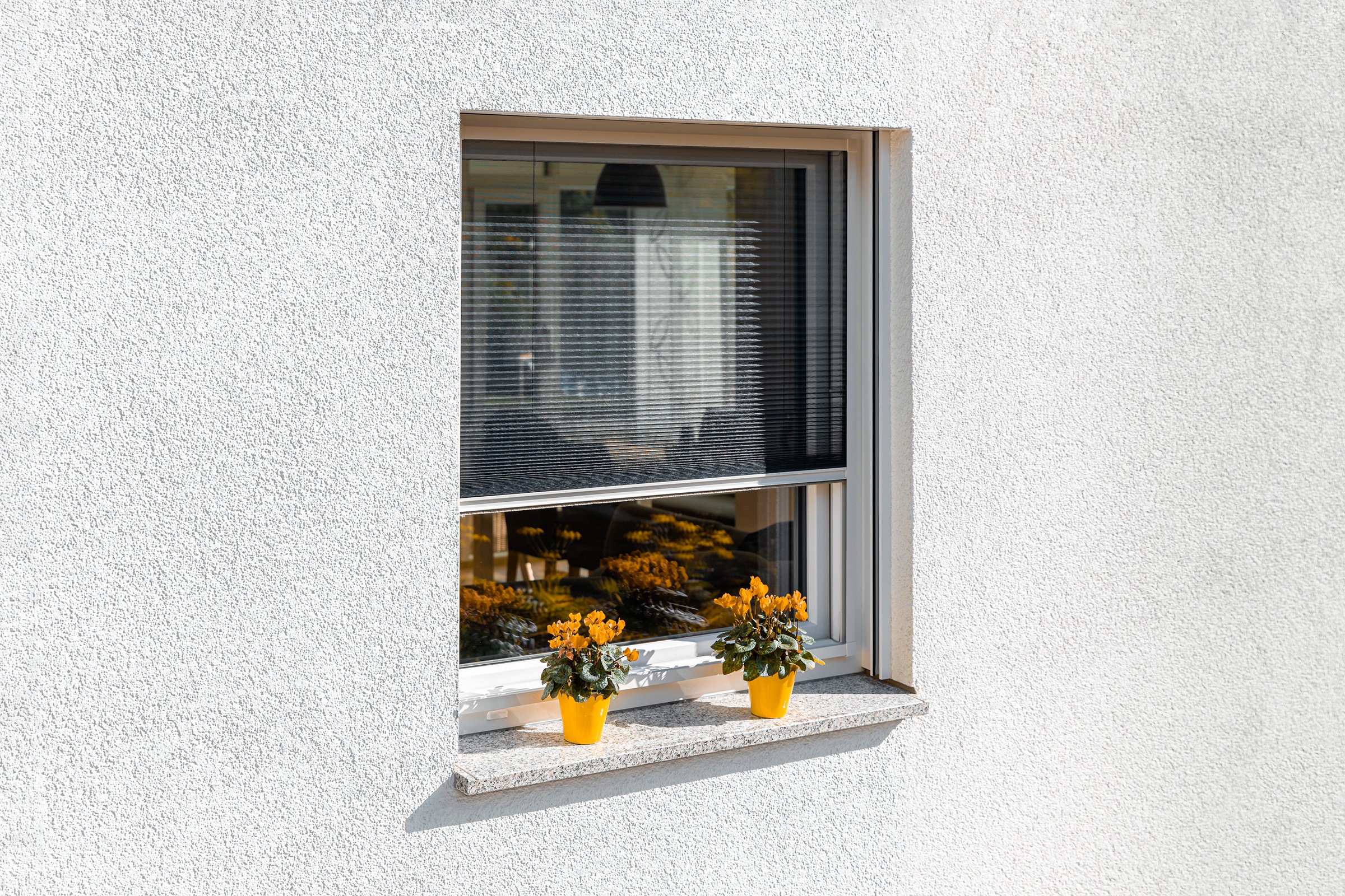 SCHELLENBERG Insektenschutzrollo »für Fenster in weiß«, Insektenschutz günstig online kaufen