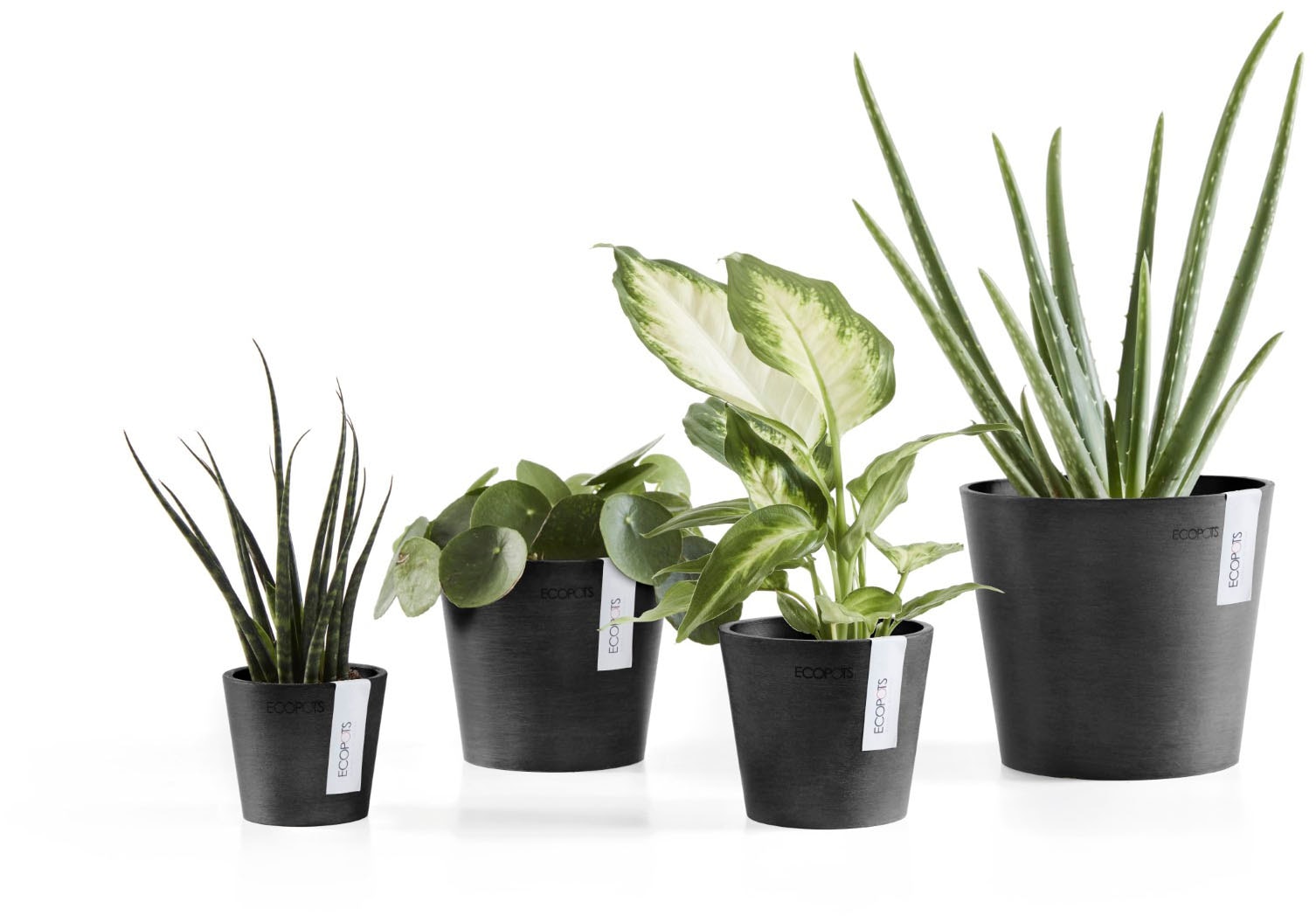 ECOPOTS Blumentopf »AMSTERDAM Mini Dark Grey« BxTxH: 17x17x14,9 cm