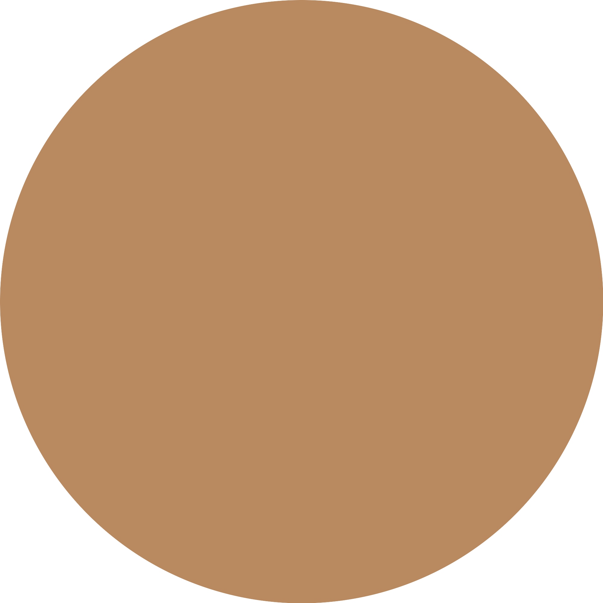 Catrice Foundation »Skin Like Tinted Moisturizer« für einen frischen, natürlichen Teint