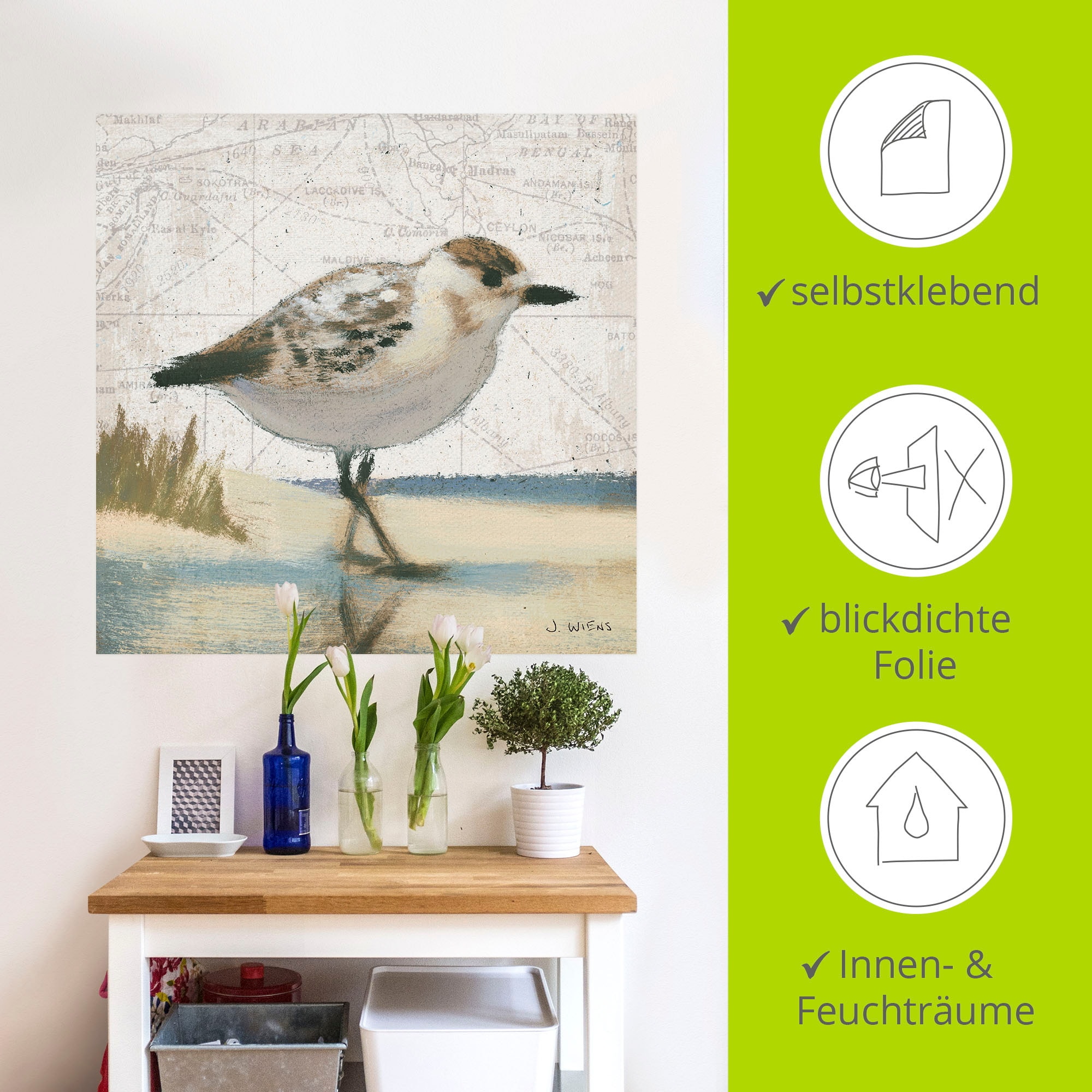 Artland Wandbild »Möwe I«, Vögel, (1 St.), als Leinwandbild, Wandaufkleber in verschied. Größen