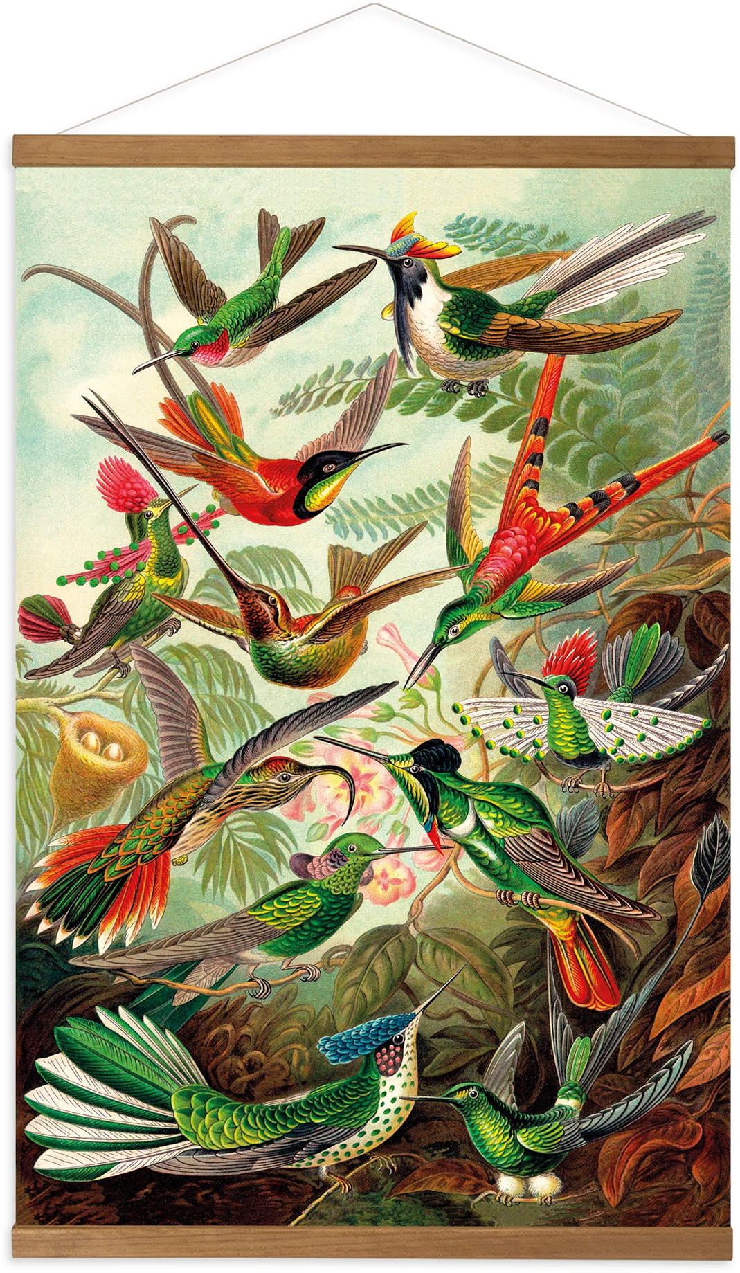 Art for the home Leinwandbild »Hummingbirds«, (1 St.), Luxus Kakemono Leinen Wandposter 80x60cm