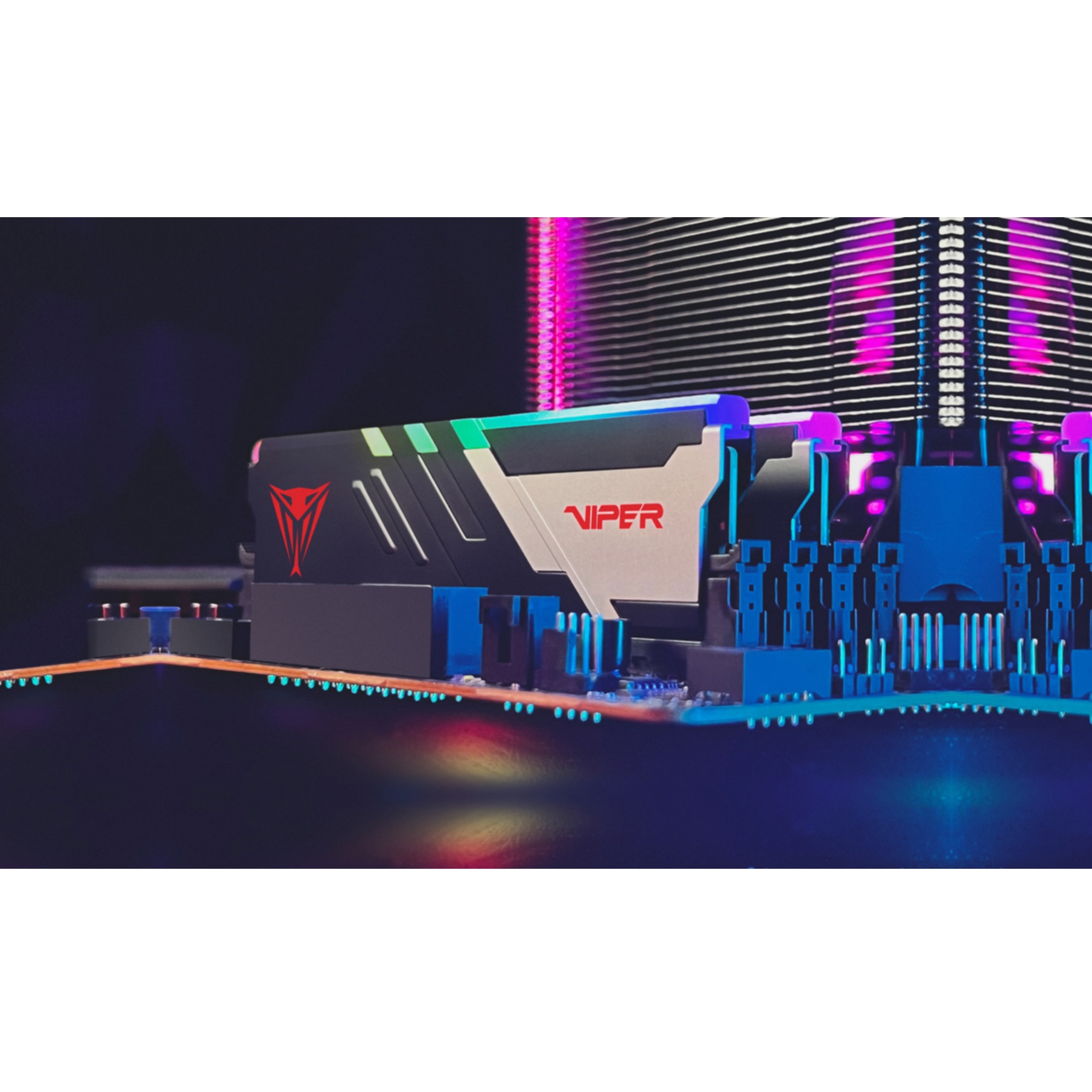 Patriot Arbeitsspeicher »Viper Venom«