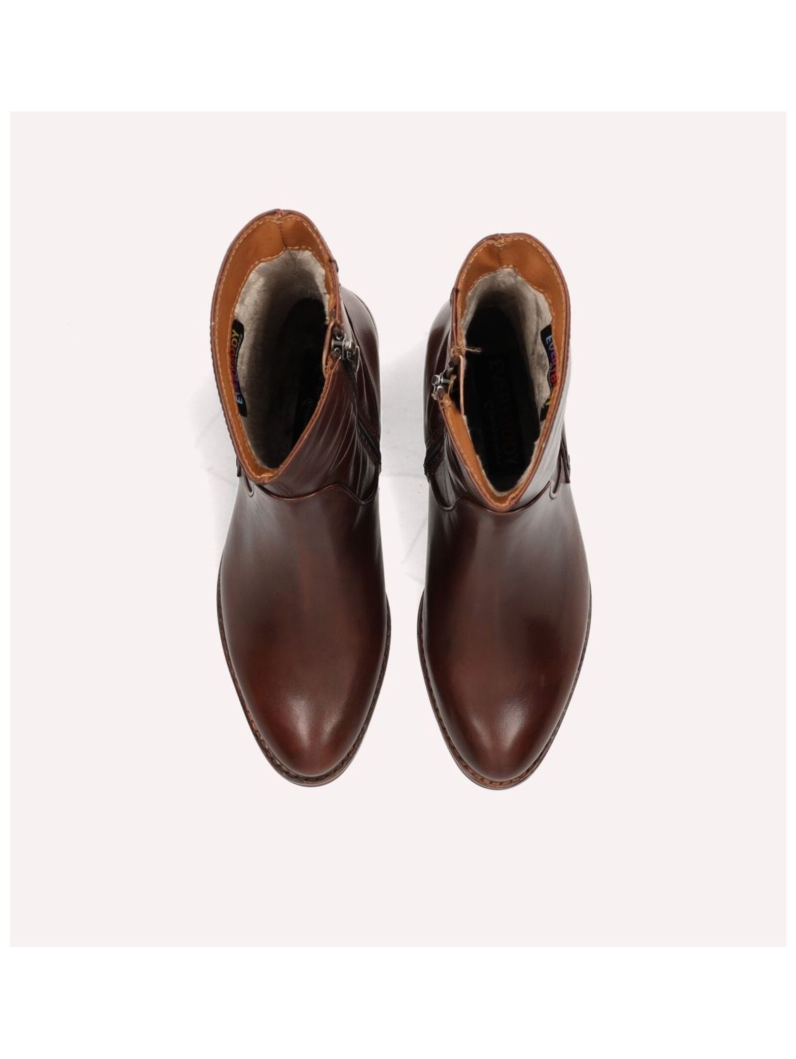 Everybody Stiefelette »Everybody Stiefelette Glattleder«