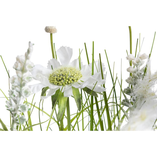 Botanic-Haus Kunstblume »Wiesenblumen im Kunststofftopf« online bestellen