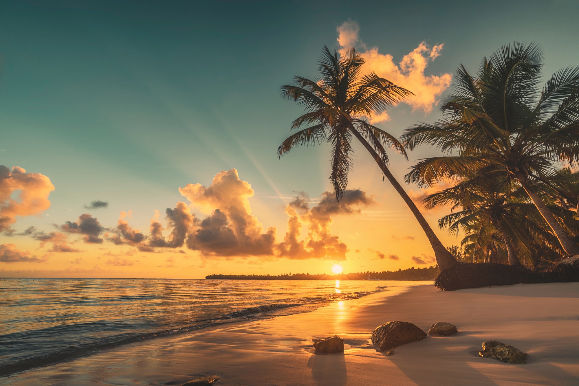 Papermoon Fototapete »PALMEN-STRAND-KARIBIK SÜDSEE MEER DÜNEN SONNE OZEAN X günstig online kaufen