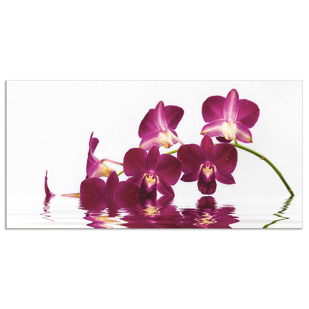 Artland Küchenrückwand »Phalaenopsis Orchidee«, (1 tlg.)