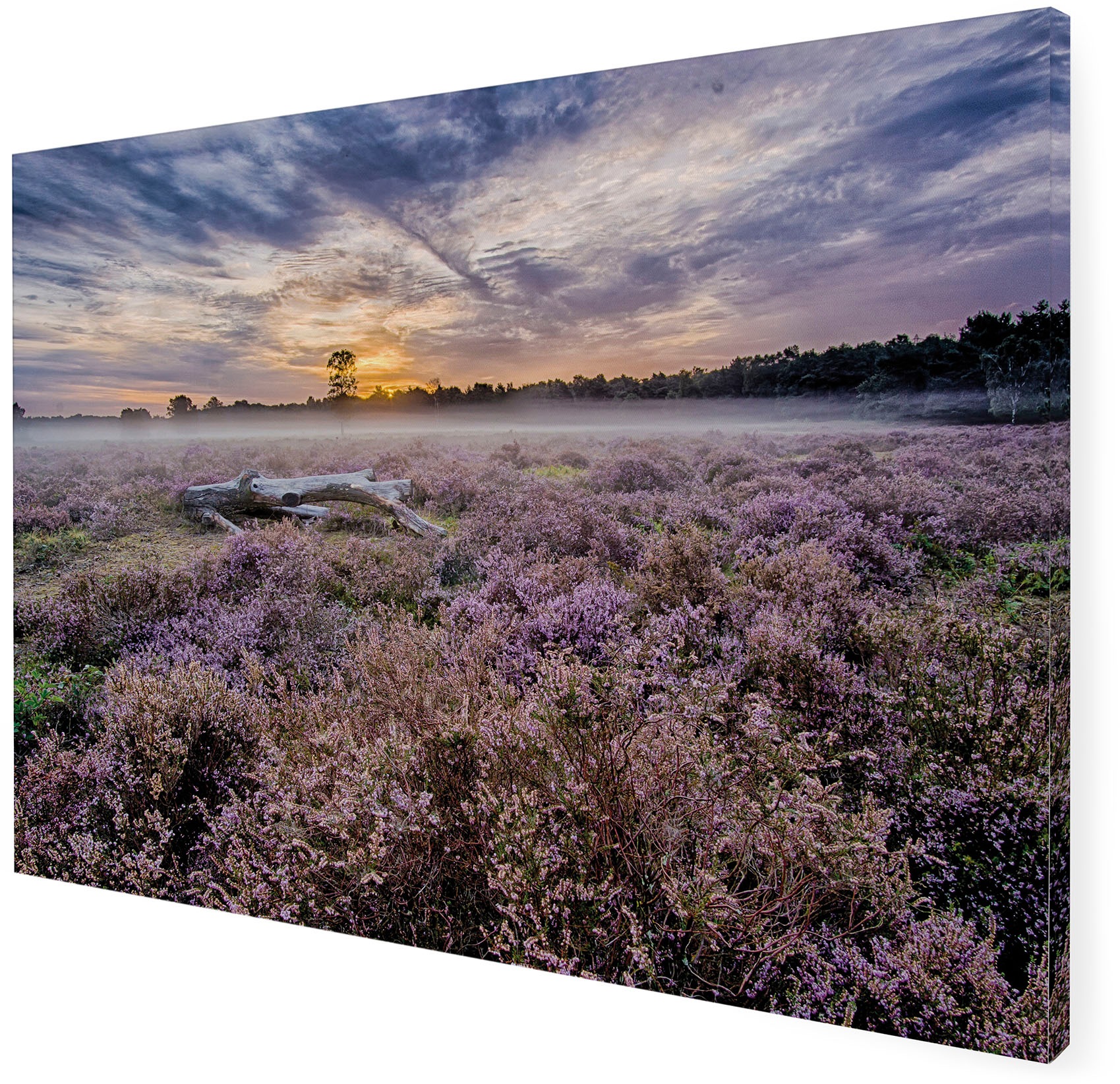 Art for the home Leinwandbild »Outdoor Lavendel 50x70cm«, (1 St.)
