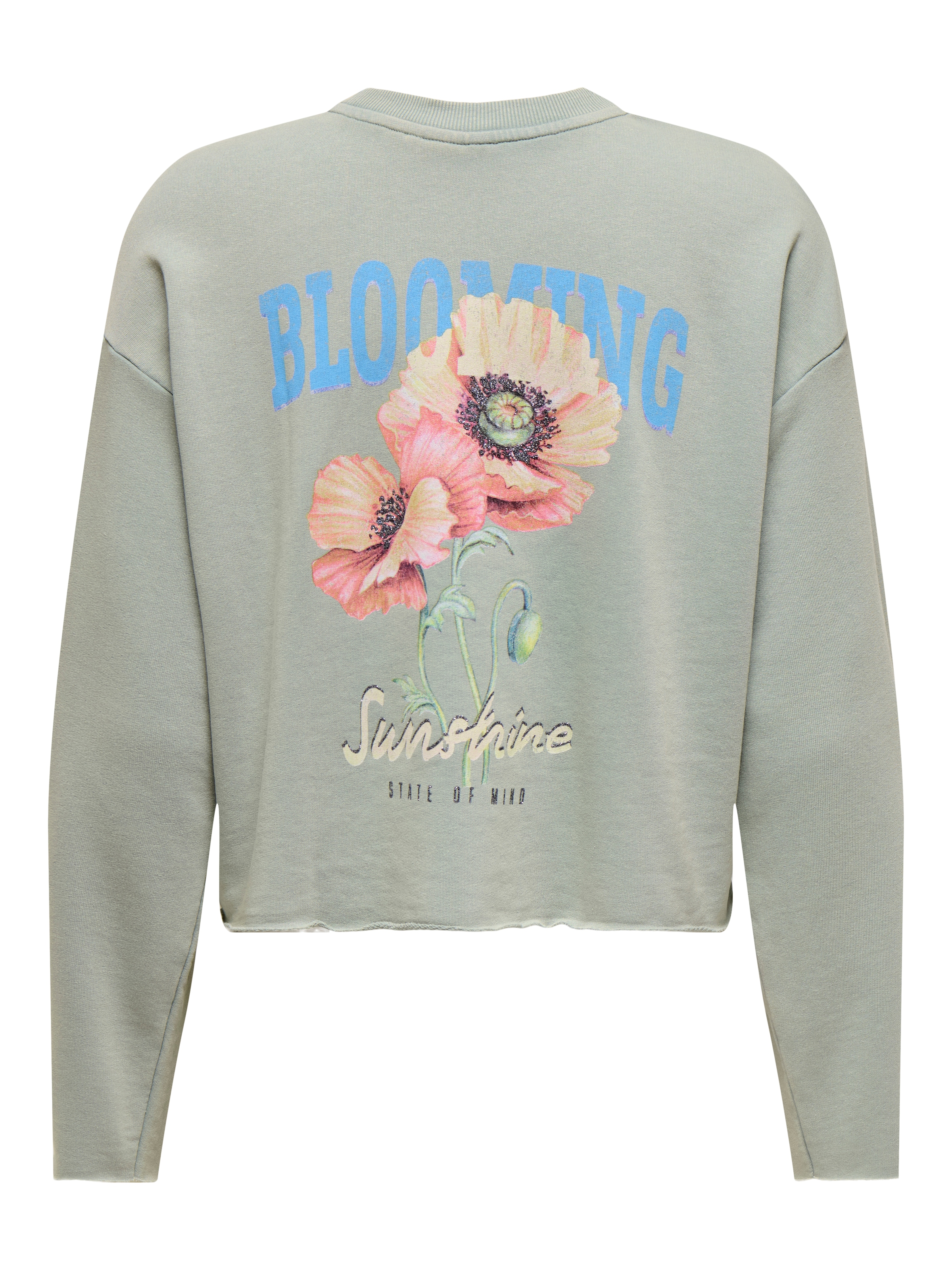 ONLY Sweatshirt »ONLLUCINDA L/S FLOWERS O-NECK UB SWT«