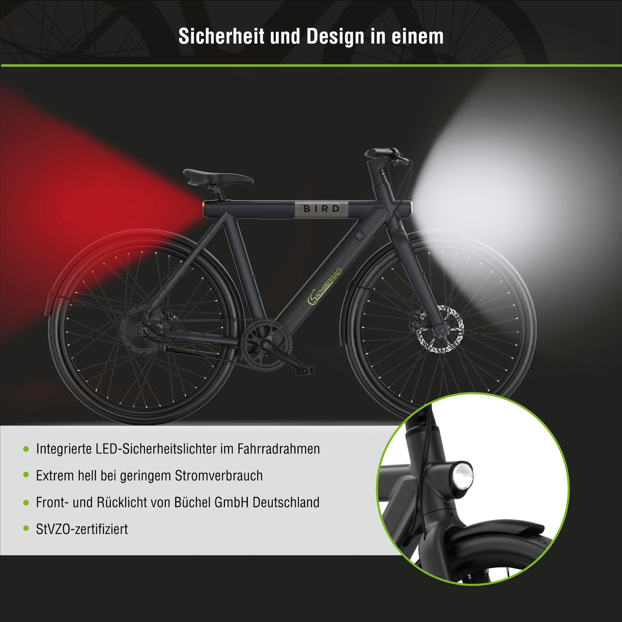 SachsenRad »C6R« 1 Gang ohne Schaltung Heckmotor 250 W Pedelec, Elektrofahrrad für Damen und Herren