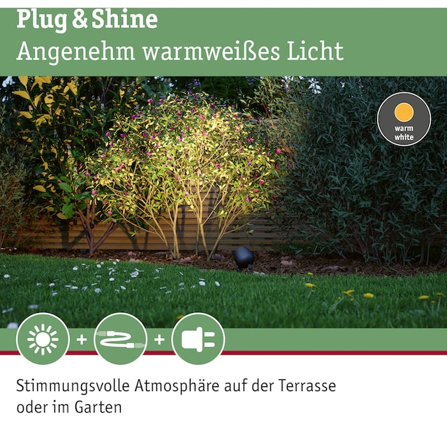 Paulmann LED Gartenleuchte »Outdoor Plug & Shine Spot Kikolo 20° 3000K  anthrazit«, 1 flammig-flammig, Outdoor Plug & Shine Spot Kikolo 20° 3000K  anthrazit auf Raten kaufen