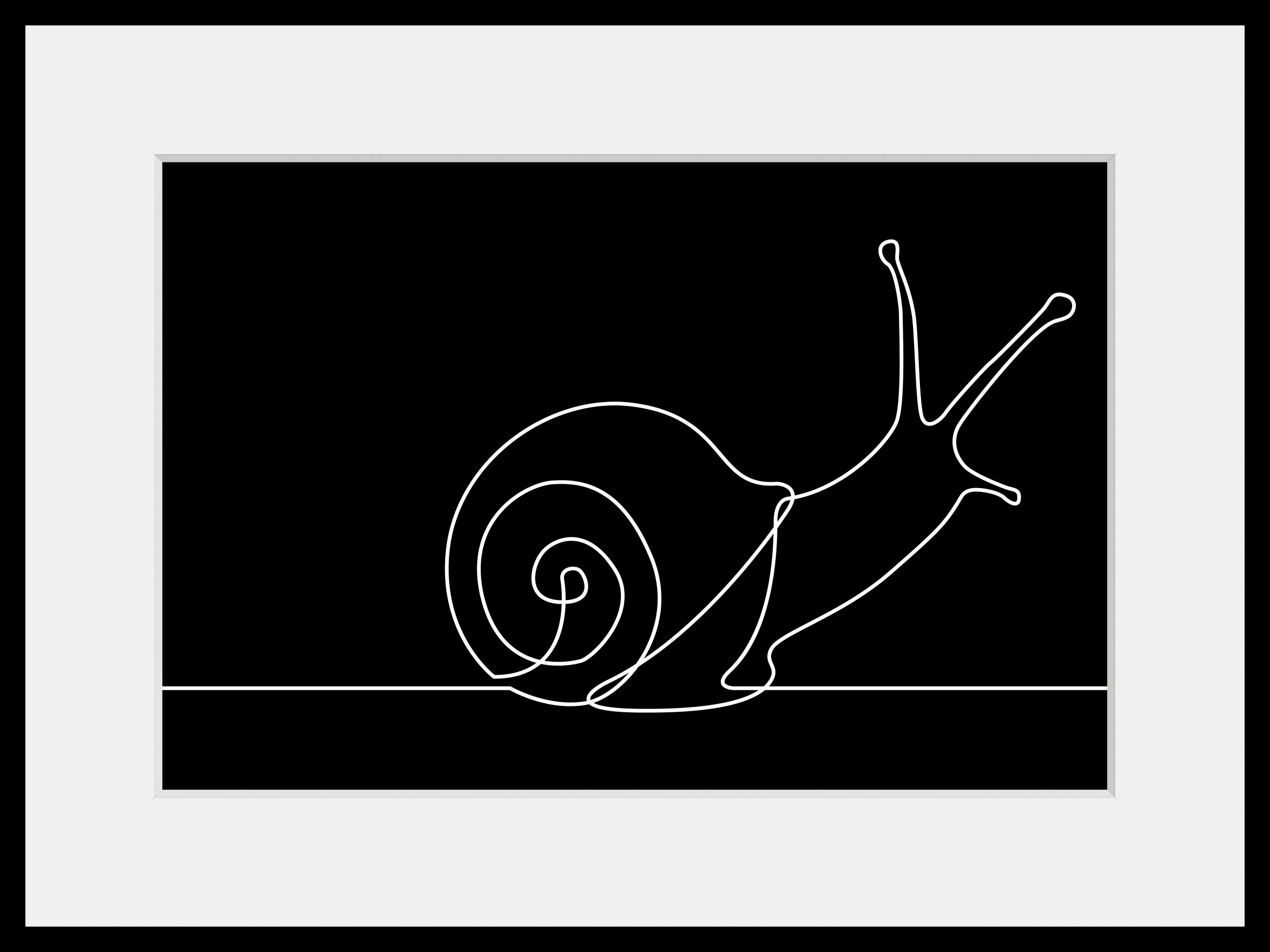 queence Bild »Schnecke«, Tiere-Schwarz-Weiß-Figuren-Abstrakt, (1 St.), HD Premium Poster-Druck inkl. Holzrahmen