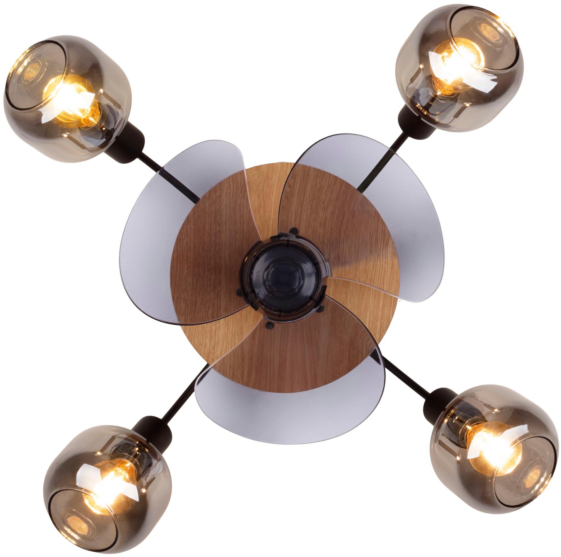 näve Deckenleuchte »Fumoso Deckenventilator«, 4 flammig, Leuchtmittel E14 | ohne Leuchtmittel, Deckenlampe, Ventilator, Fernbedienung, 4flg., E14 exkl., Glasschirme