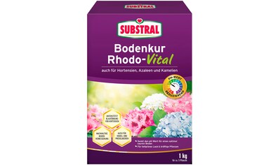 Substral Pflanzendünger »Bodenkur Rhodo-Vital«, 1 kg kaufen