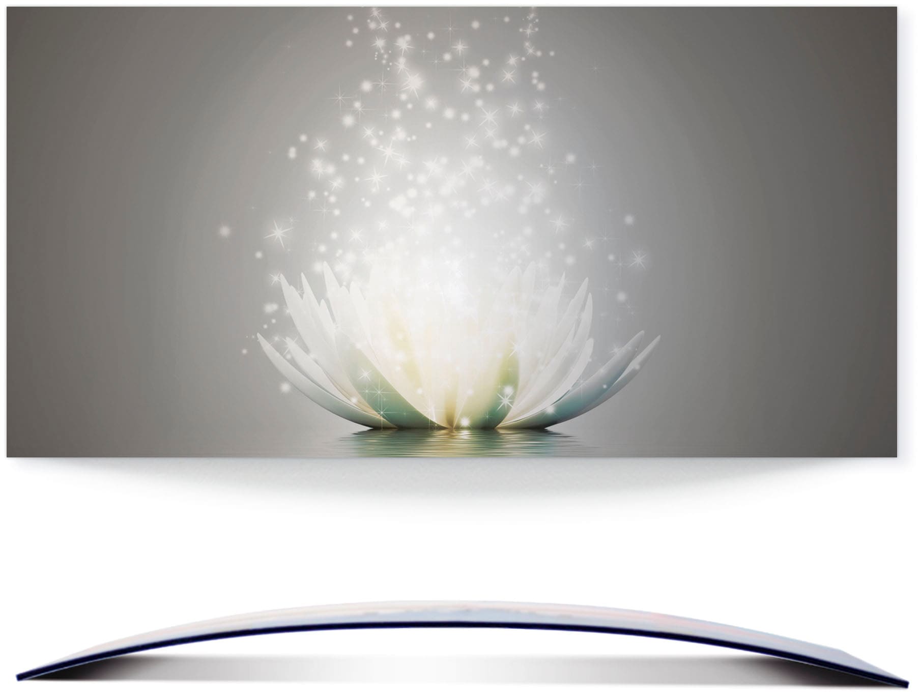 Artland Wandbild »Magie der Lotus-Blume«, Blumen, (1 St.), 3D Optik gebogen kaufen