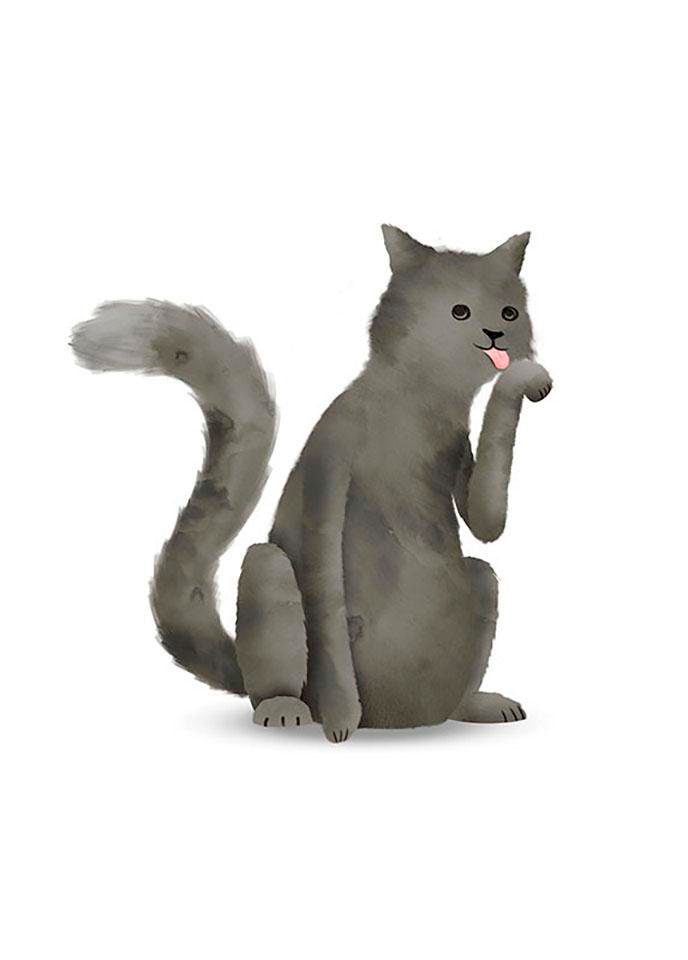 Komar Bild »Cute Animal Cat«, Tiere, (1 St.), Wandbild zur Dekoration - ohne Rahmen