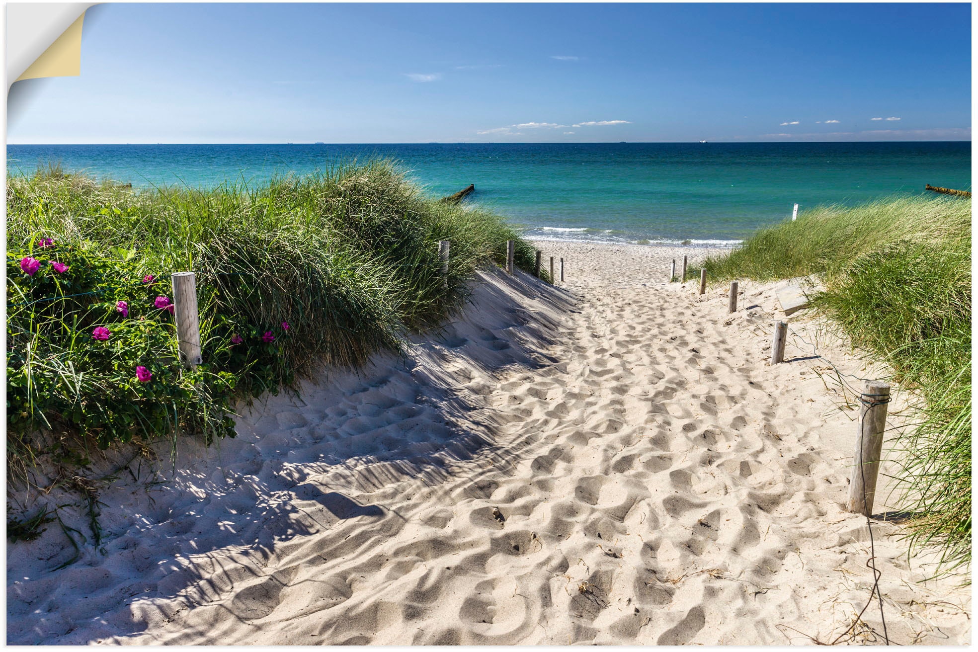 Artland Wandbild »Weg zum Strand an der Ostsee«, Strandbilder, (1 St.), als Alubild, Outdoorbild, Leinwandbild, Poster, Wandaufkleber