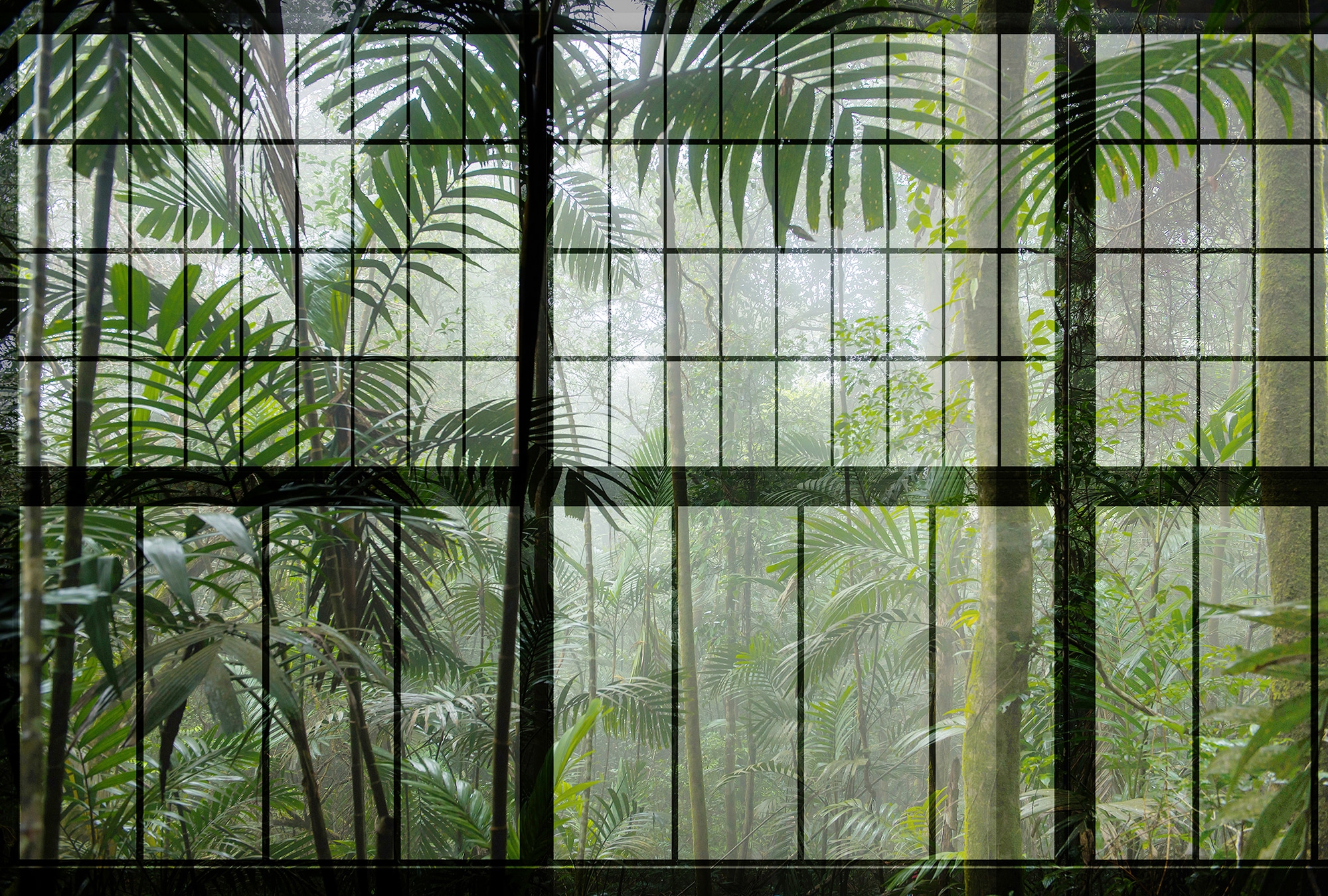 living walls Fototapete »Walls by Patel Rainforest 1« glatt Vlies, Wand, Sc günstig online kaufen