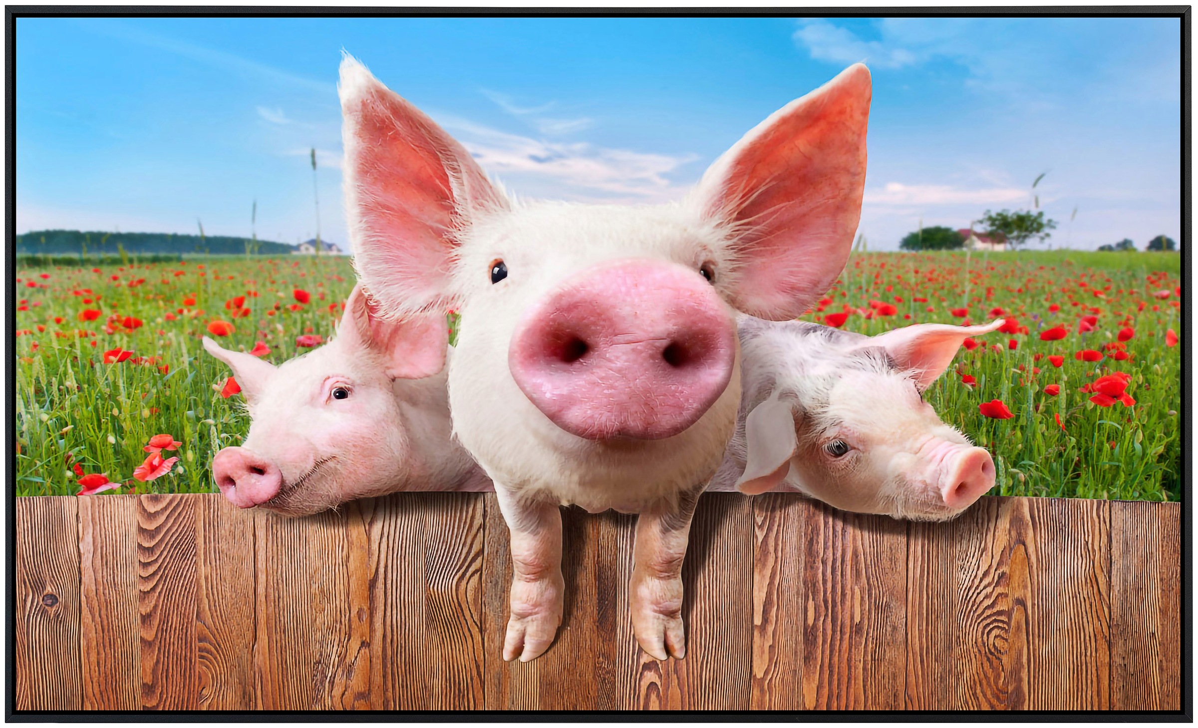 Papermoon Infrarotheizung »Schweine in Blumenwiese«, sehr angenehme Strahlu günstig online kaufen