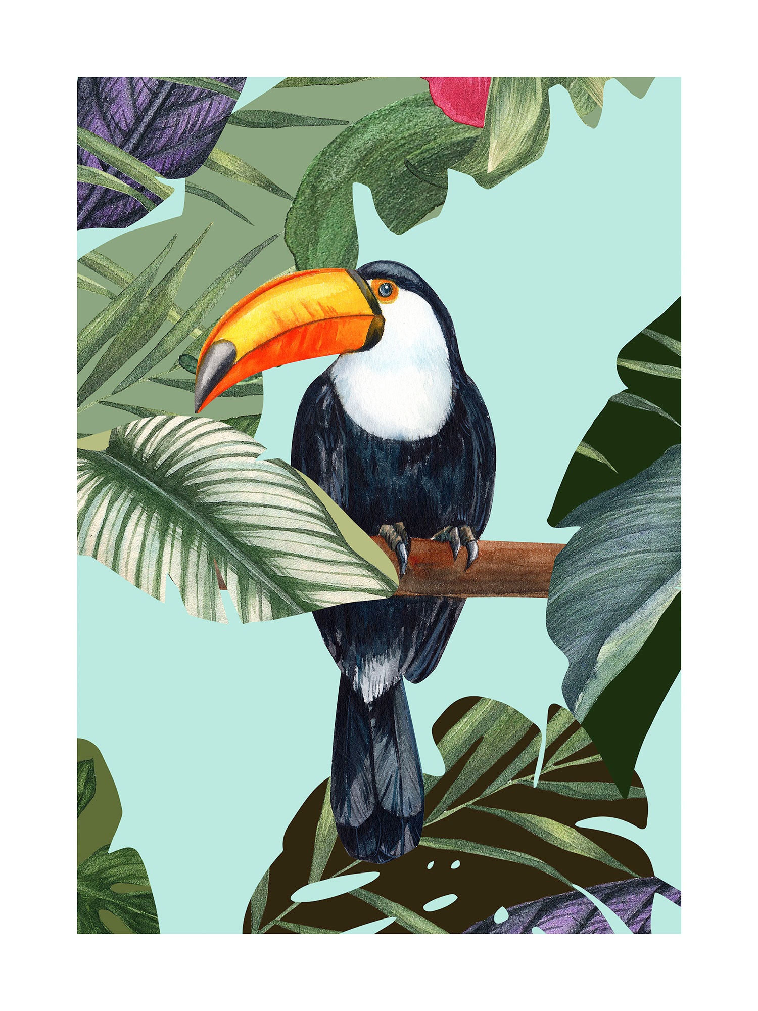 Komar Bild »Toco Toucan« Natur 1 Stk. tlg. Wandbild zur Dekoration - ohne Rahmen