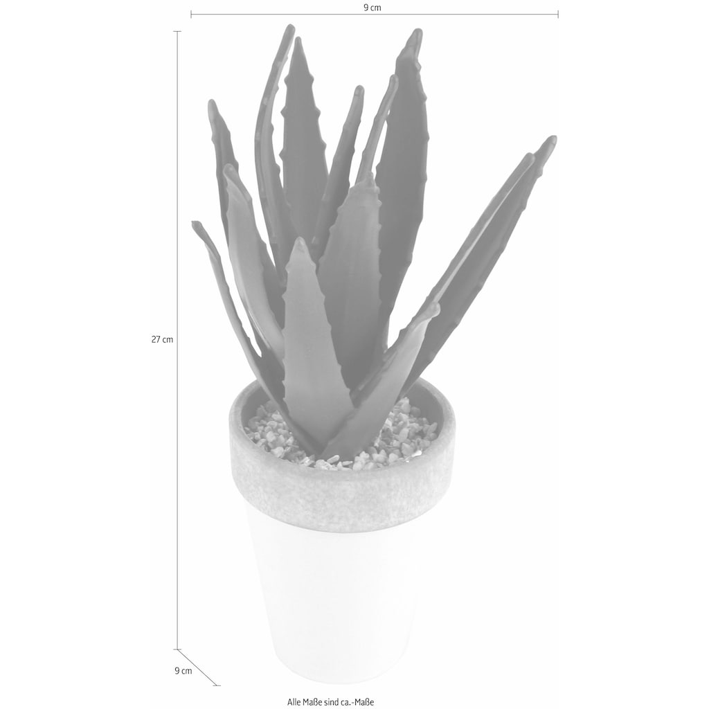 I.GE.A. Kunstpflanze »Agave in Topf 27/12 cm«, (1 St.)