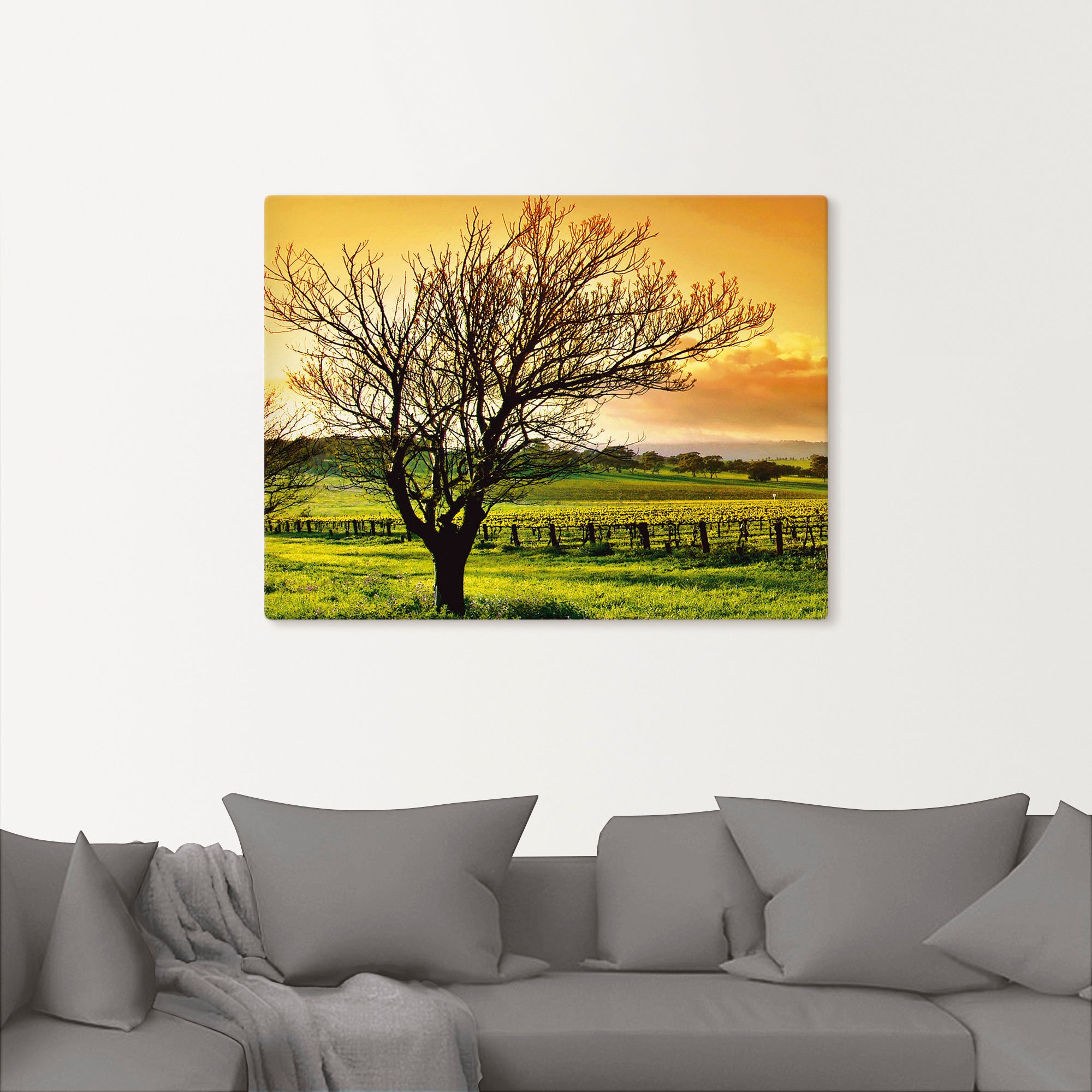 Artland Leinwandbild »Landschaft mit Weinbergen«, Felder, (1 St.), auf Keilrahmen gespannt