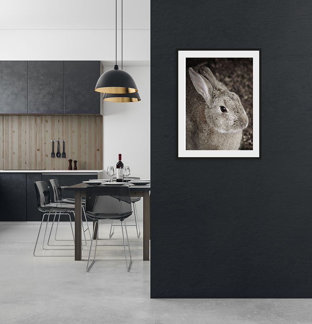 queence Bild »Tilde« Foto   Hase   Hasen   Haustiere   Kunst 1 Stk. tlg. HD günstig online kaufen