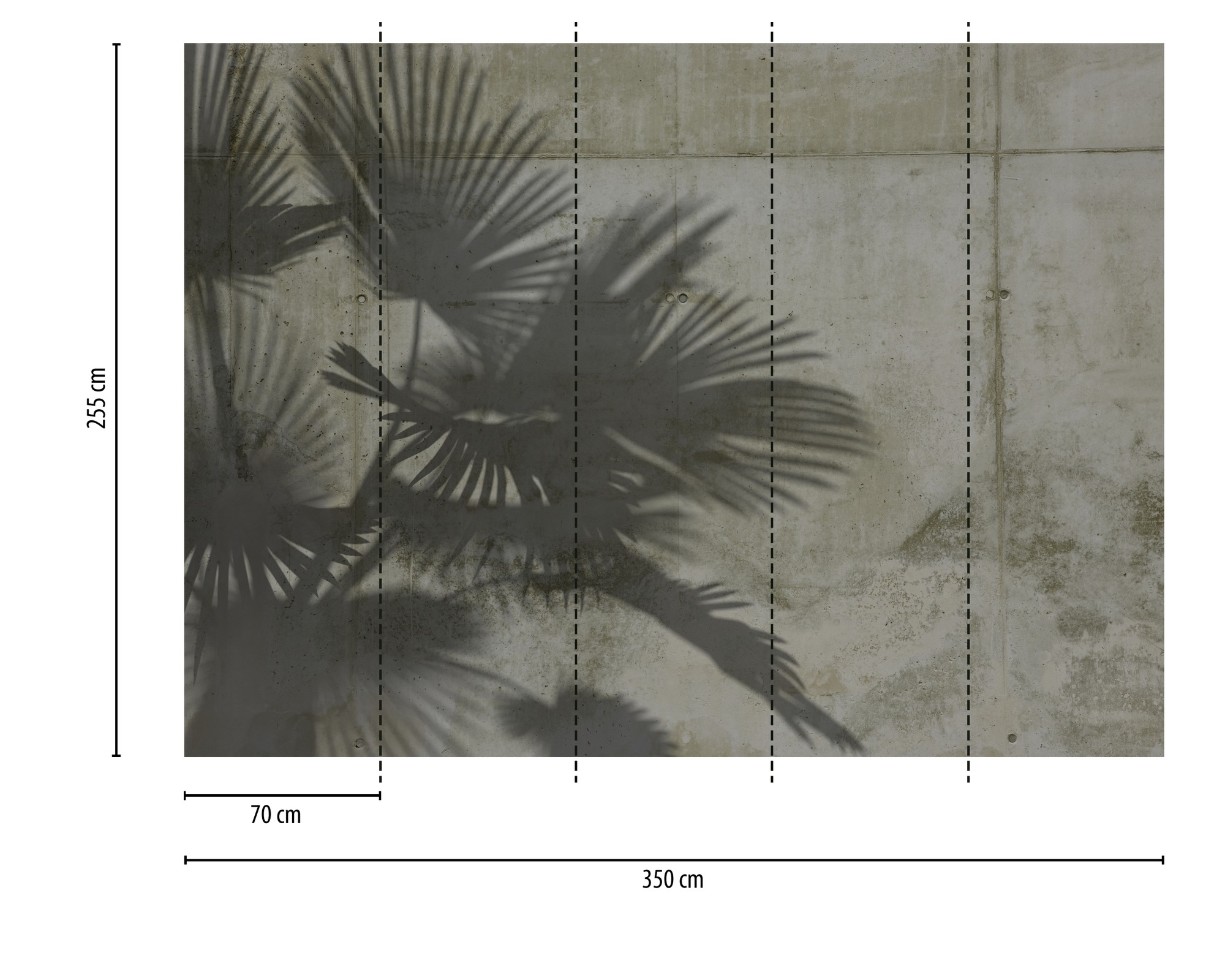 A.S. Création Vliestapete »Fototapete Palmenschatten auf Betonoptik Grau« matt strukturiert