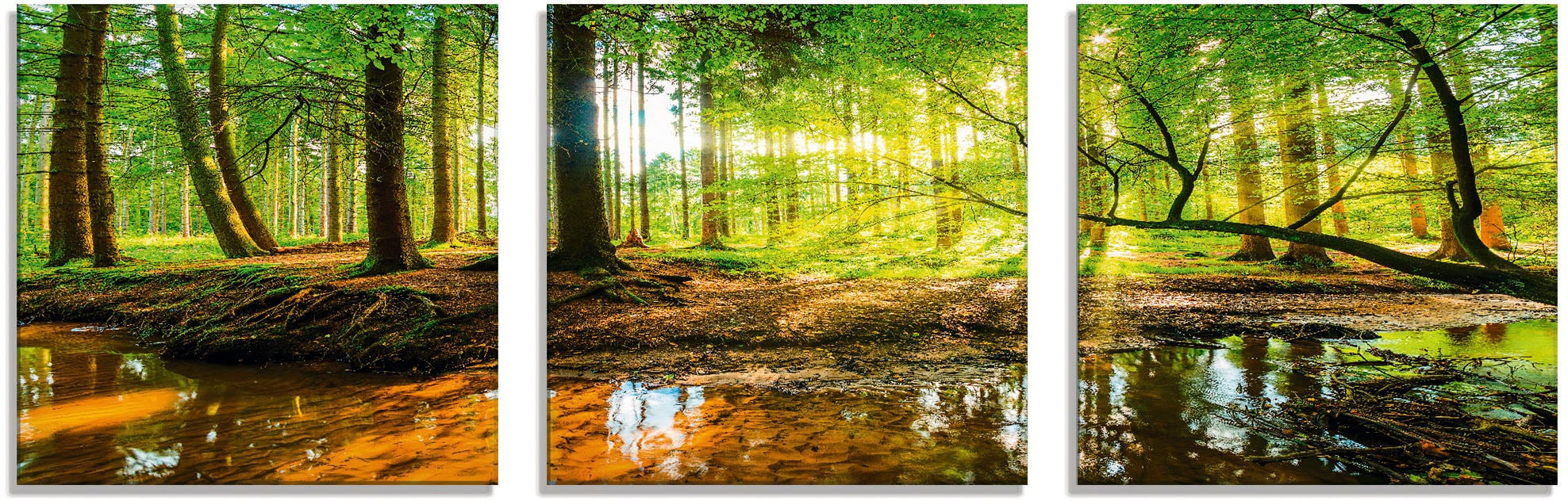 Artland Glasbild "Wald mit Bach", Wald, (3 St.), in verschiedenen Größen günstig online kaufen