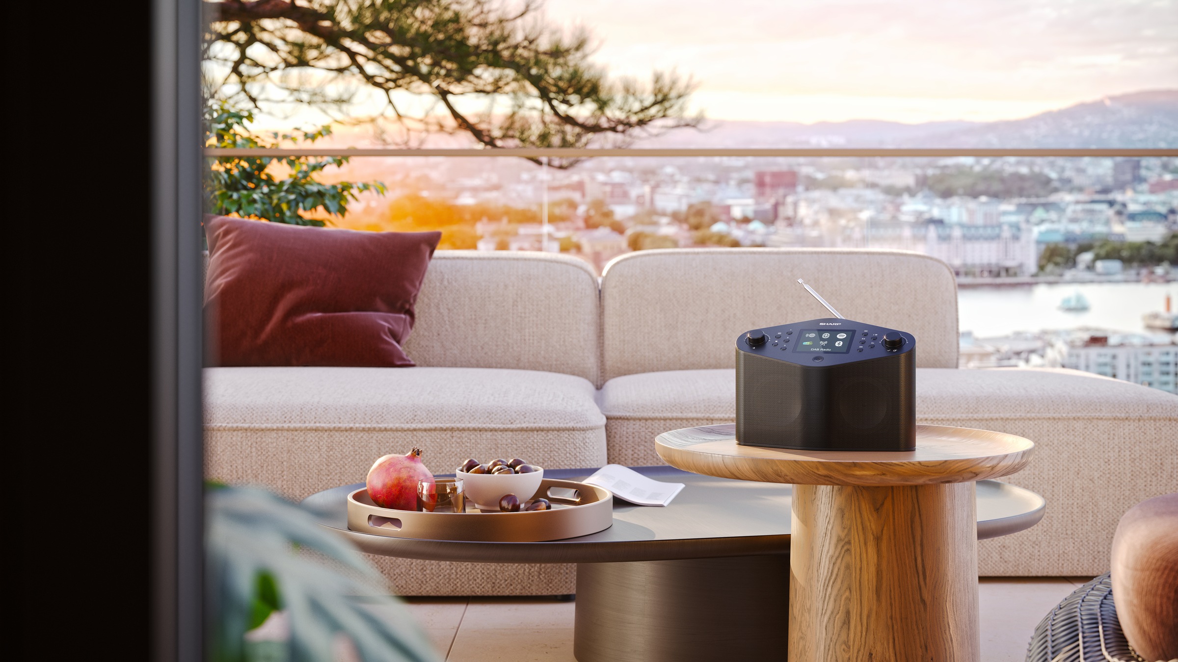 Sharp Internet-Radio »DR-IP639« (Bluetooth | WLAN 10 W)