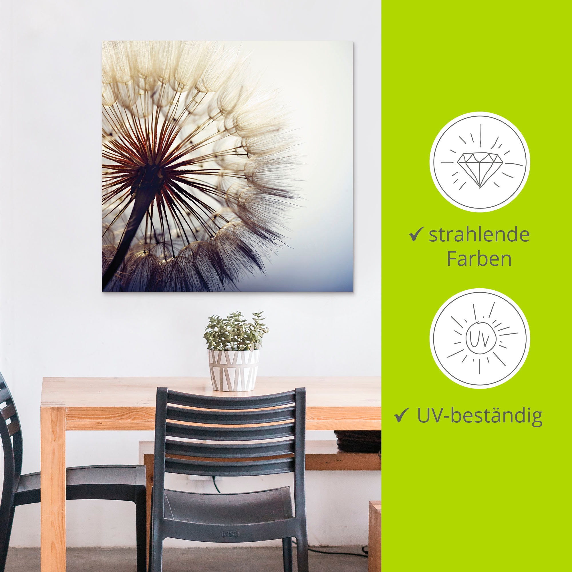 Artland Wandbild »Große Pusteblume«, Blumen, (1 St.), als Alubild, Outdoorbild, Leinwandbild, Poster, Wandaufkleber