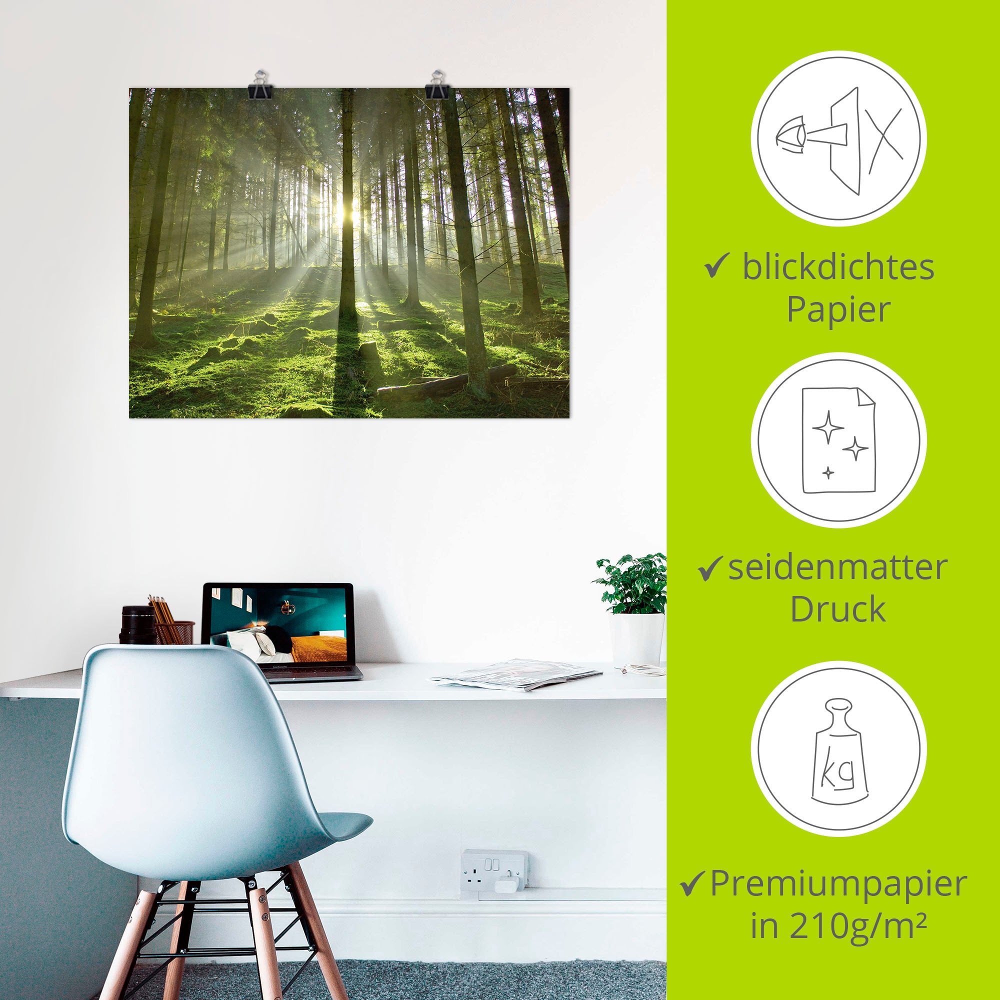Artland Wandbild »Wald im Gegenlicht«, Wald, (1 St.), als Leinwandbild, Poster in verschied. Größen