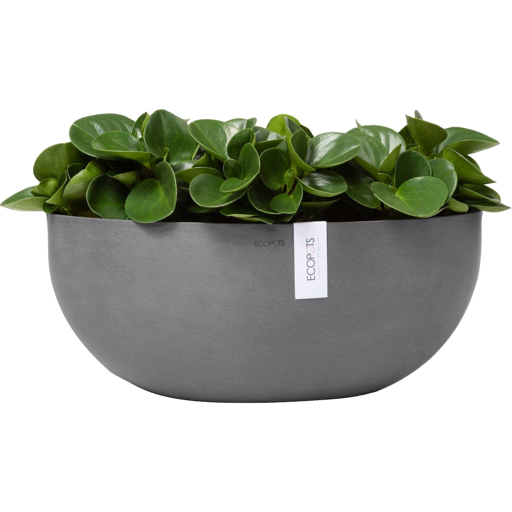 ECOPOTS Blumentopf »SOFIA BIG Grey«