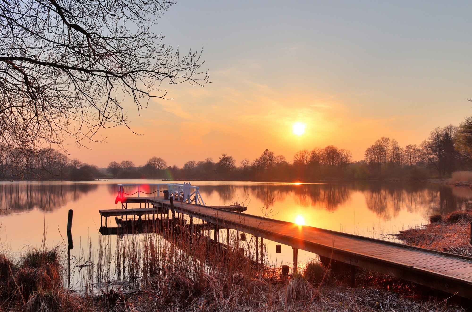 Papermoon Fototapete »HOLZ-BRÜCKE-PIER STEG SEE STRAND WALD SONNENUNTERGANG günstig online kaufen